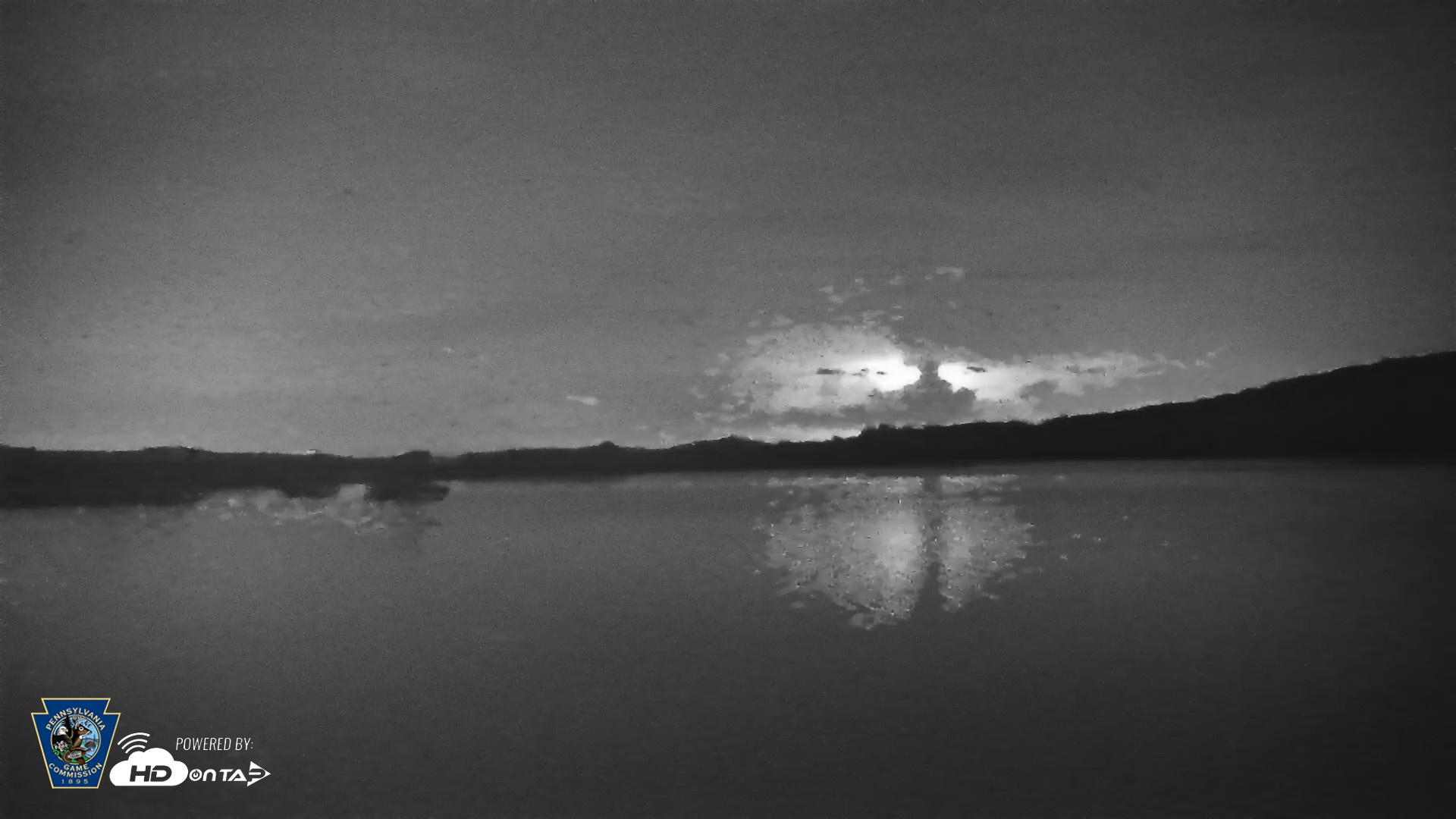 Snapshot of Pennsylvania Snow Geese Live Webcam taken Jun 11, 2026, 10:22pm EDT