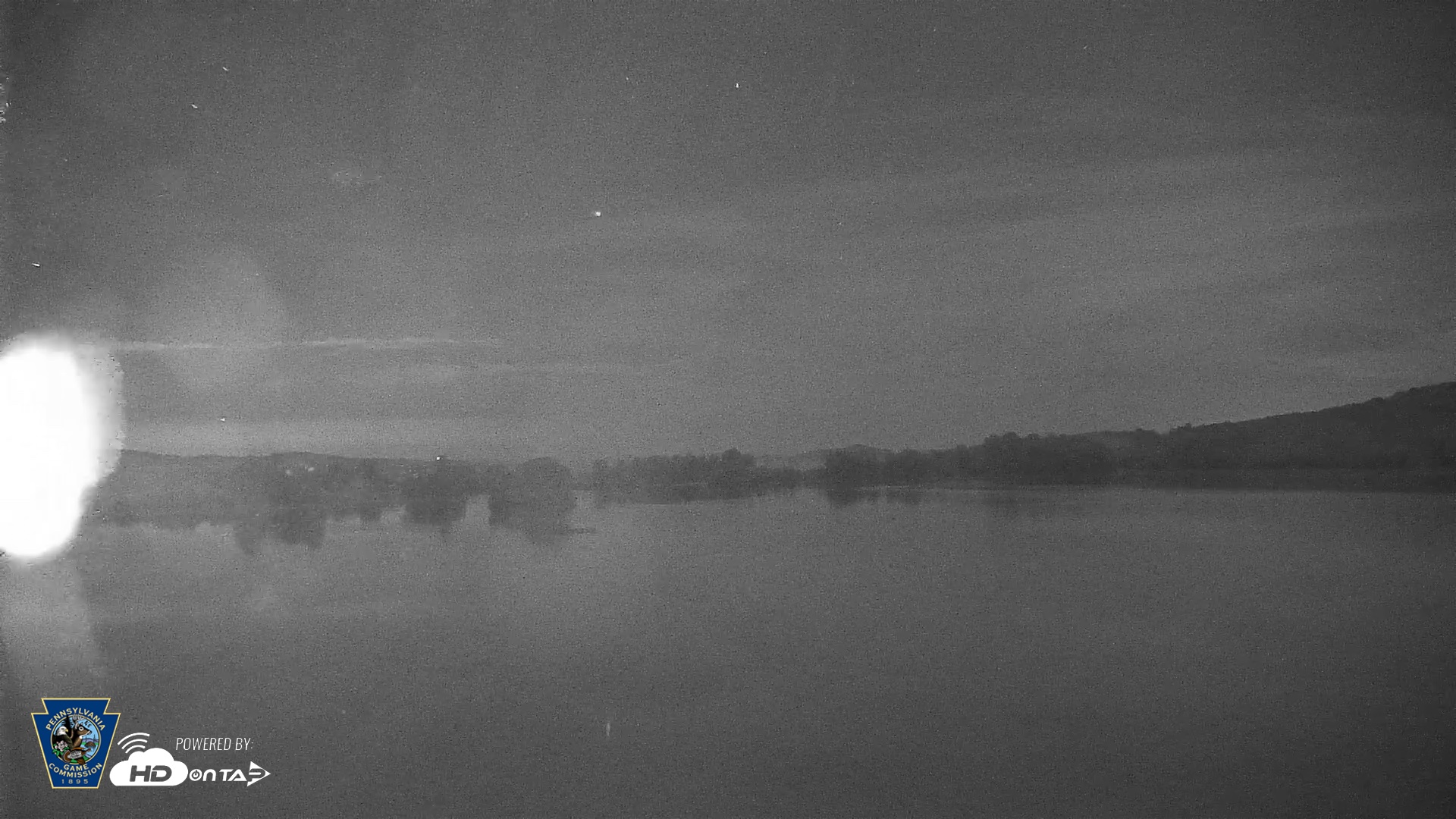 Snapshot of Pennsylvania Snow Geese Live Webcam taken Sep 2, 2026, 2:44am EDT
