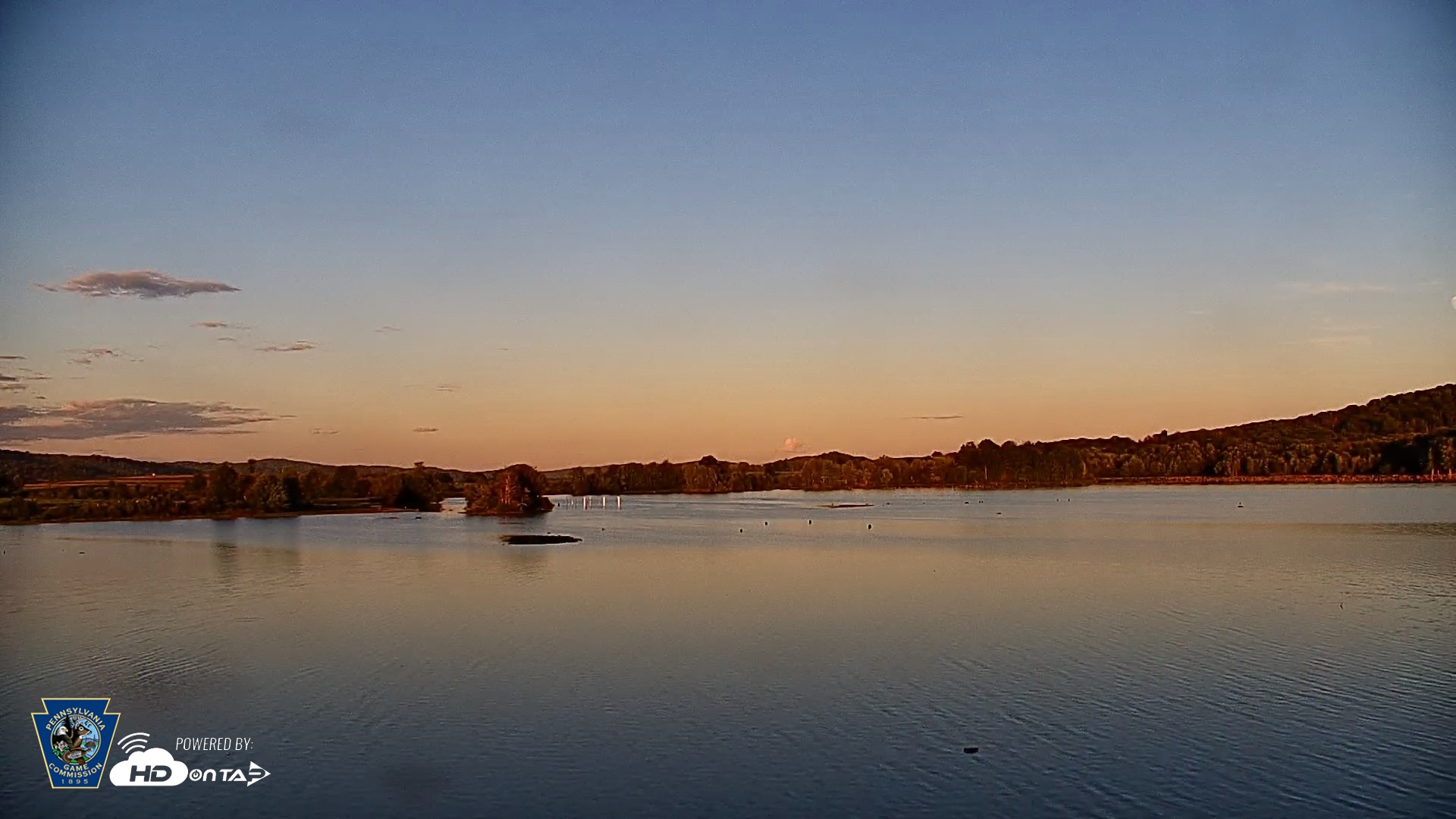 Snapshot of Pennsylvania Snow Geese Live Webcam taken Aug 25, 2026, 7:24pm EDT