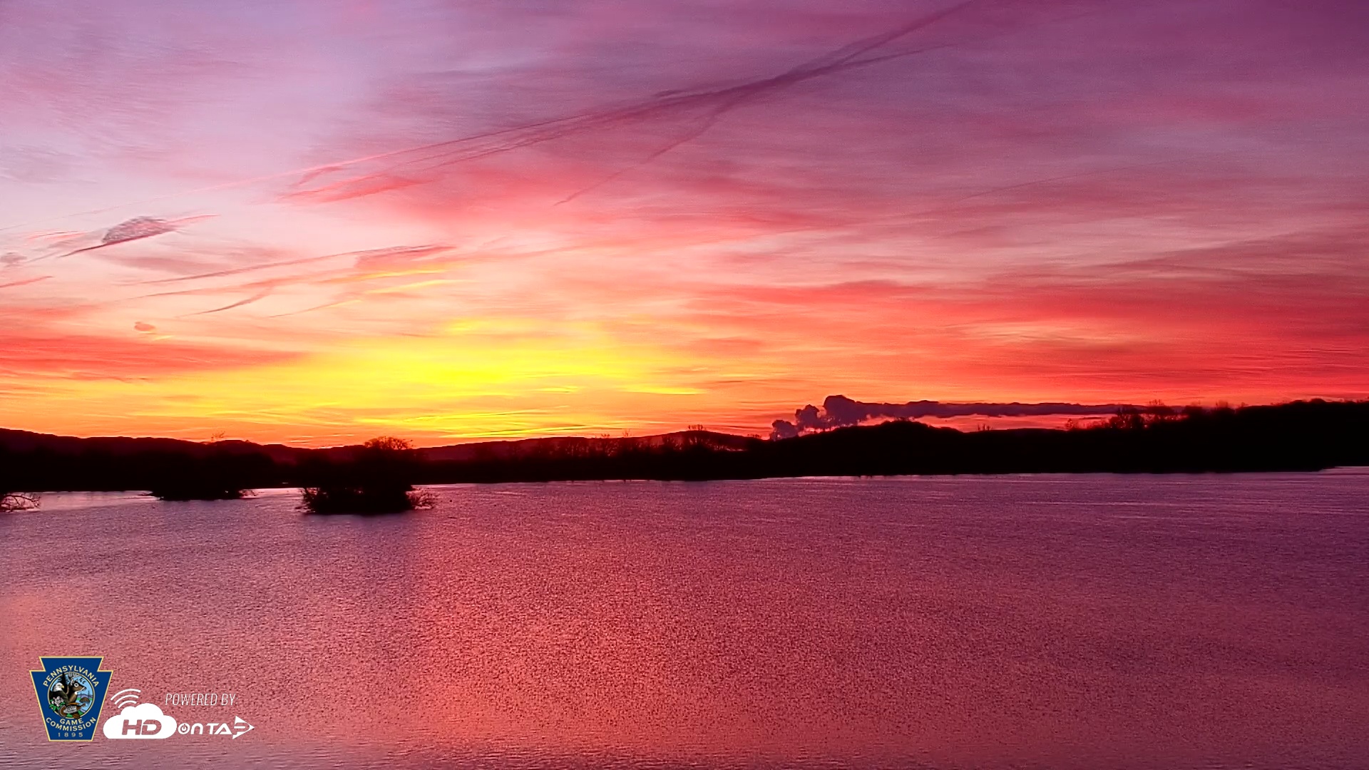 Snapshot of Pennsylvania Snow Geese Live Webcam taken Mar 18, 2026, 6:58am EDT