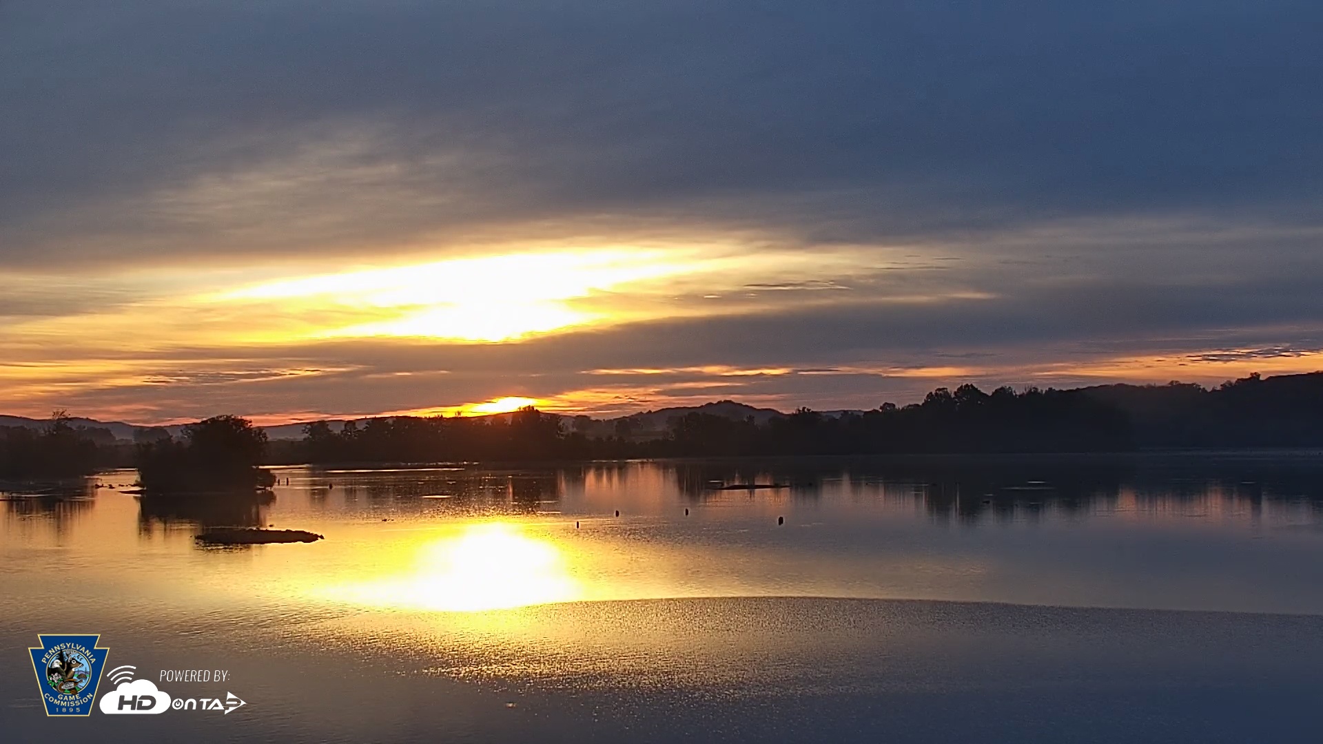 Snapshot of Pennsylvania Snow Geese Live Webcam taken Sep 27, 2025, 7:08am EDT