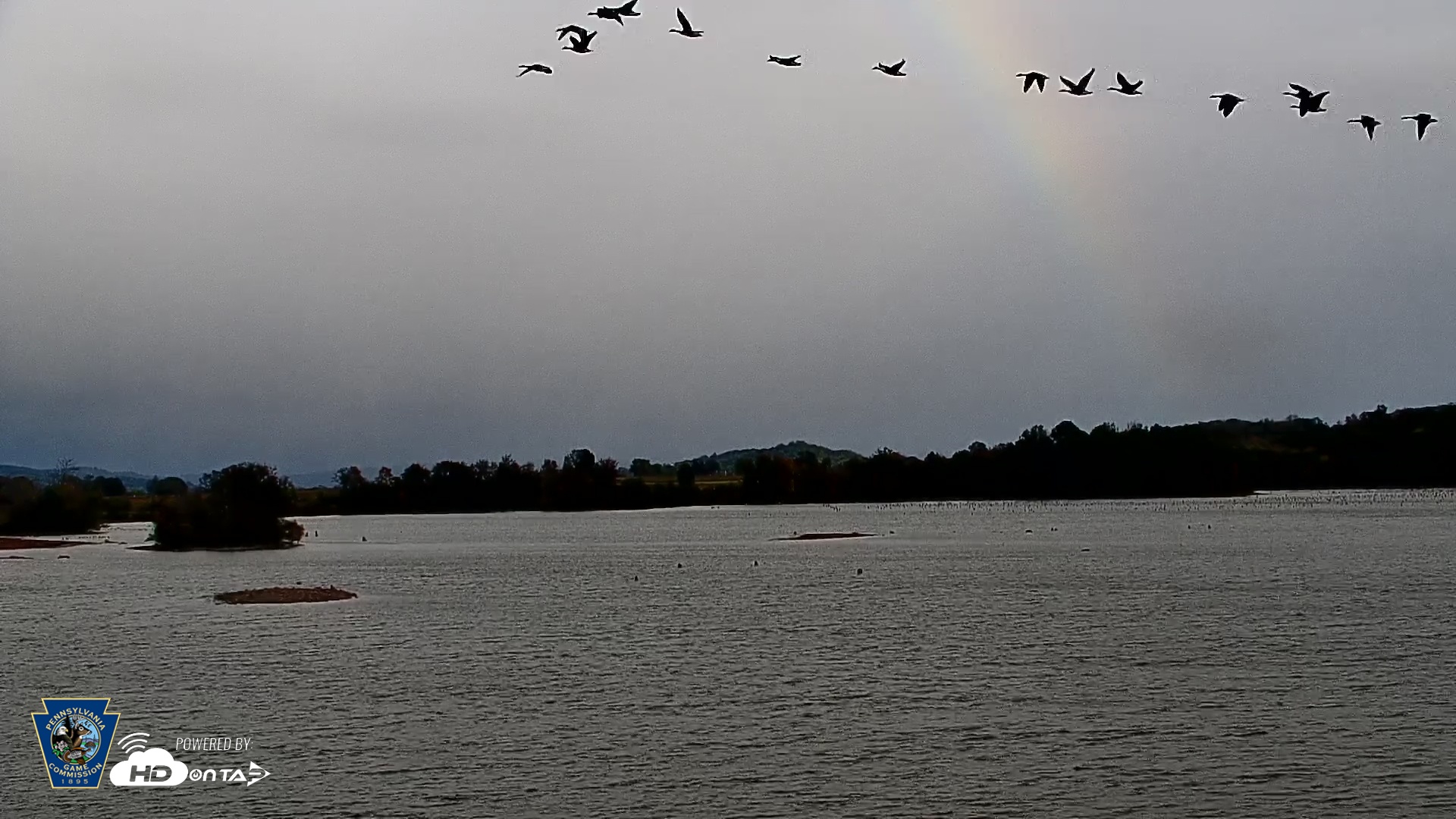 Snapshot of Pennsylvania Snow Geese Live Webcam taken Oct 12, 2025, 5:19pm EDT