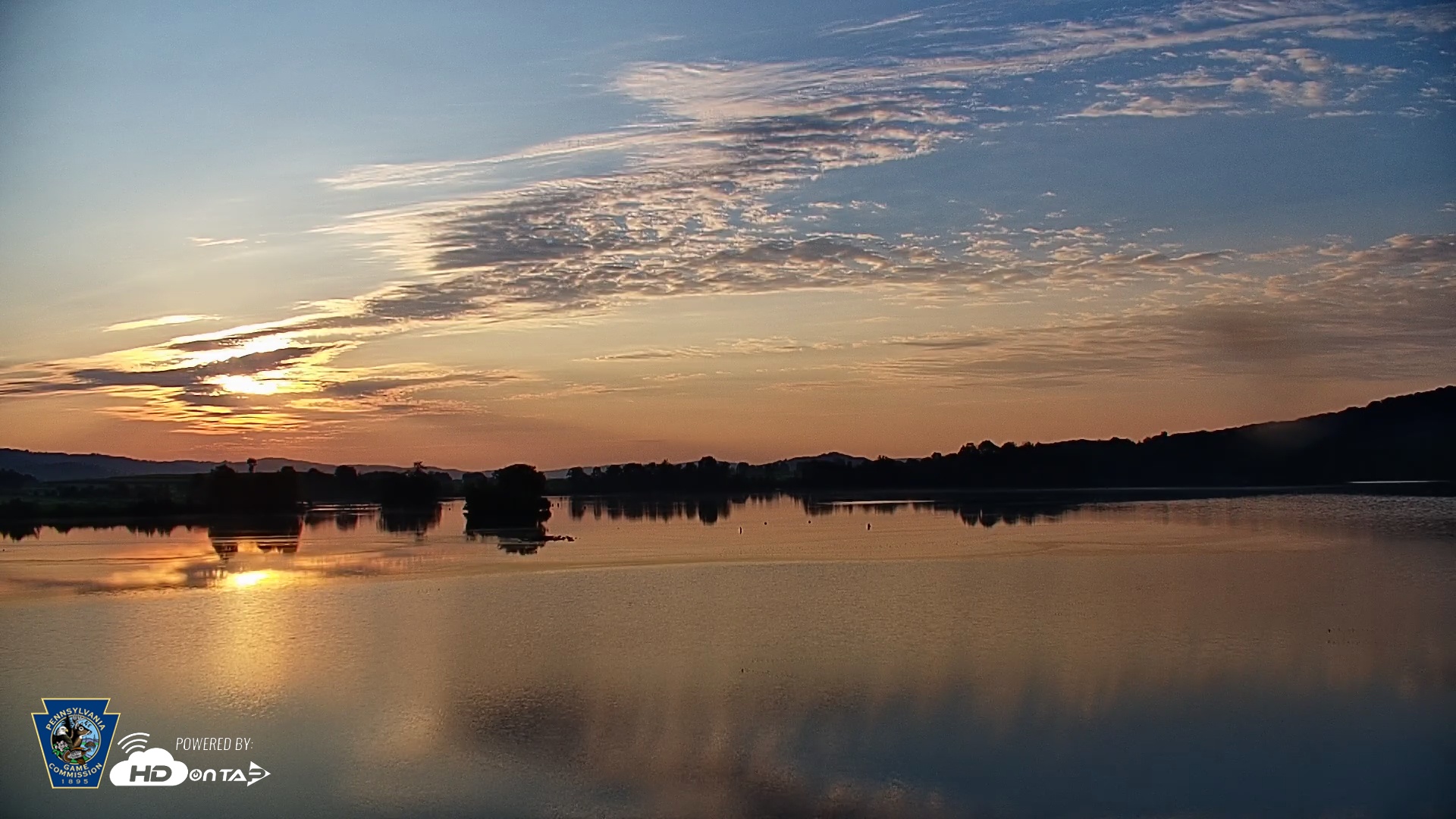 Snapshot of Pennsylvania Snow Geese Live Webcam taken Aug 15, 2025, 6:44am EDT