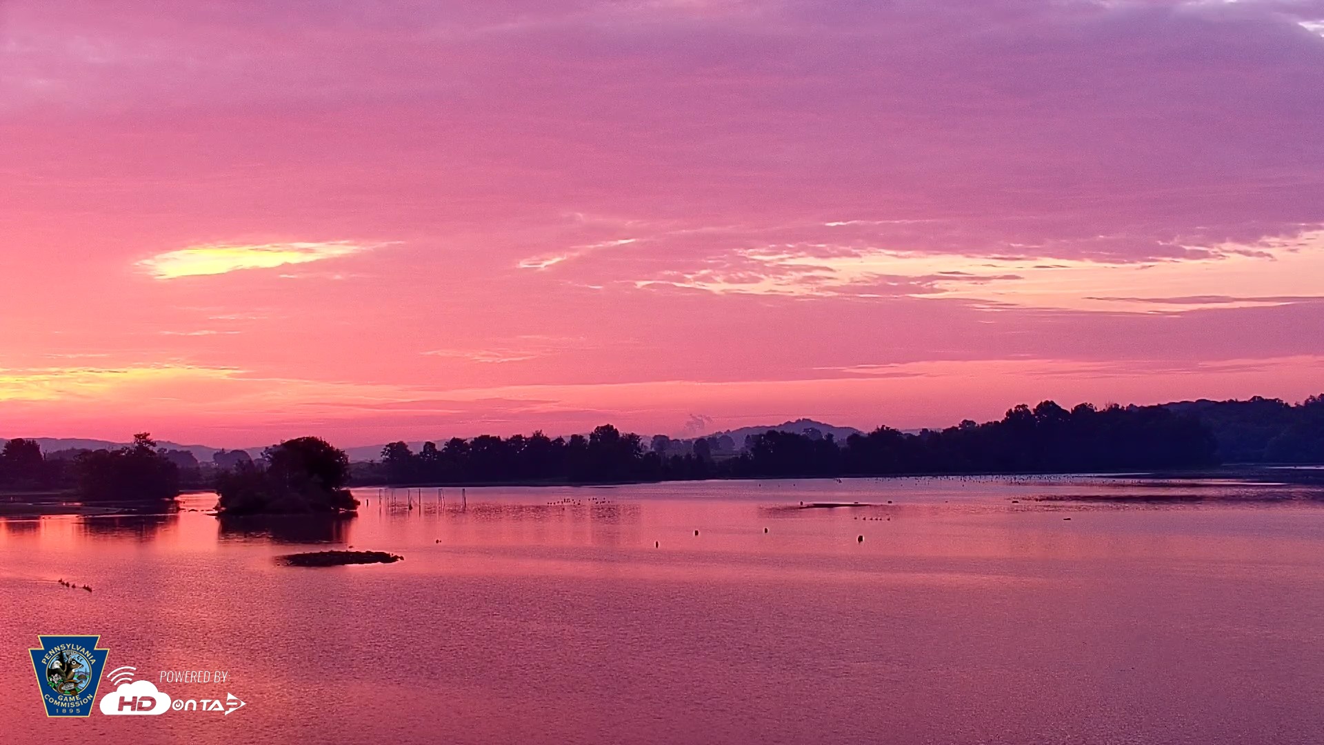 Snapshot of Pennsylvania Snow Geese Live Webcam taken Aug 20, 2026, 6:26am EDT