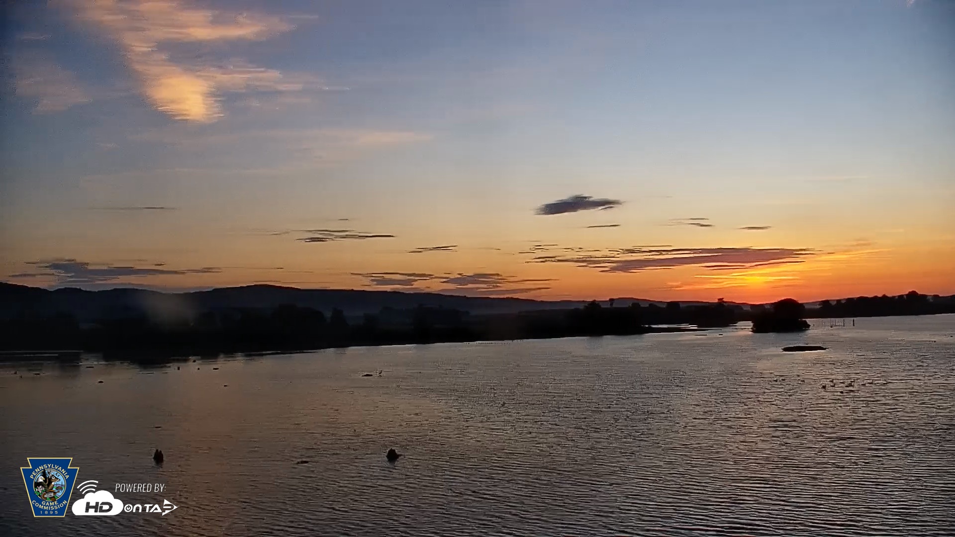 Snapshot of Pennsylvania Snow Geese Live Webcam taken Sep 16, 2026, 6:40am EDT