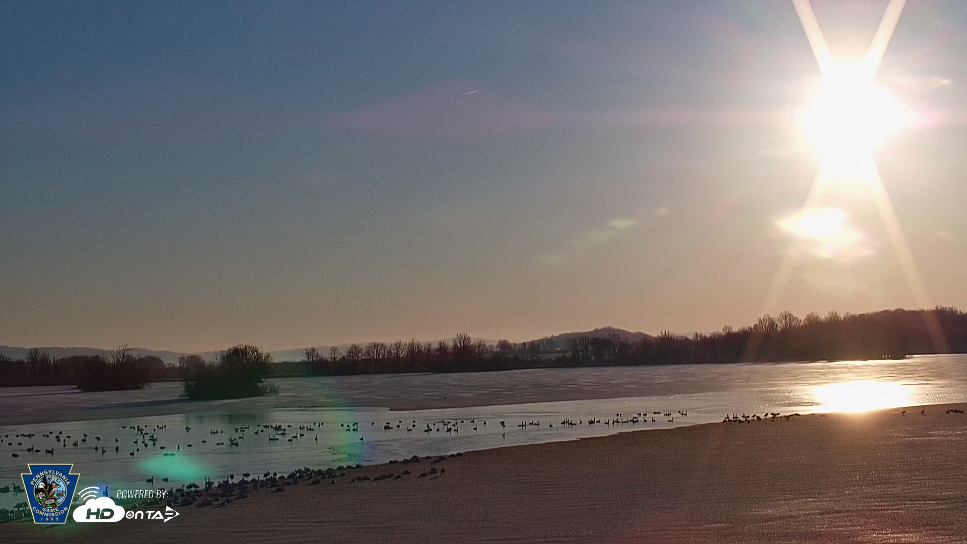 Snapshot of Pennsylvania Snow Geese Live Webcam taken Feb 27, 2026, 7:27am EST