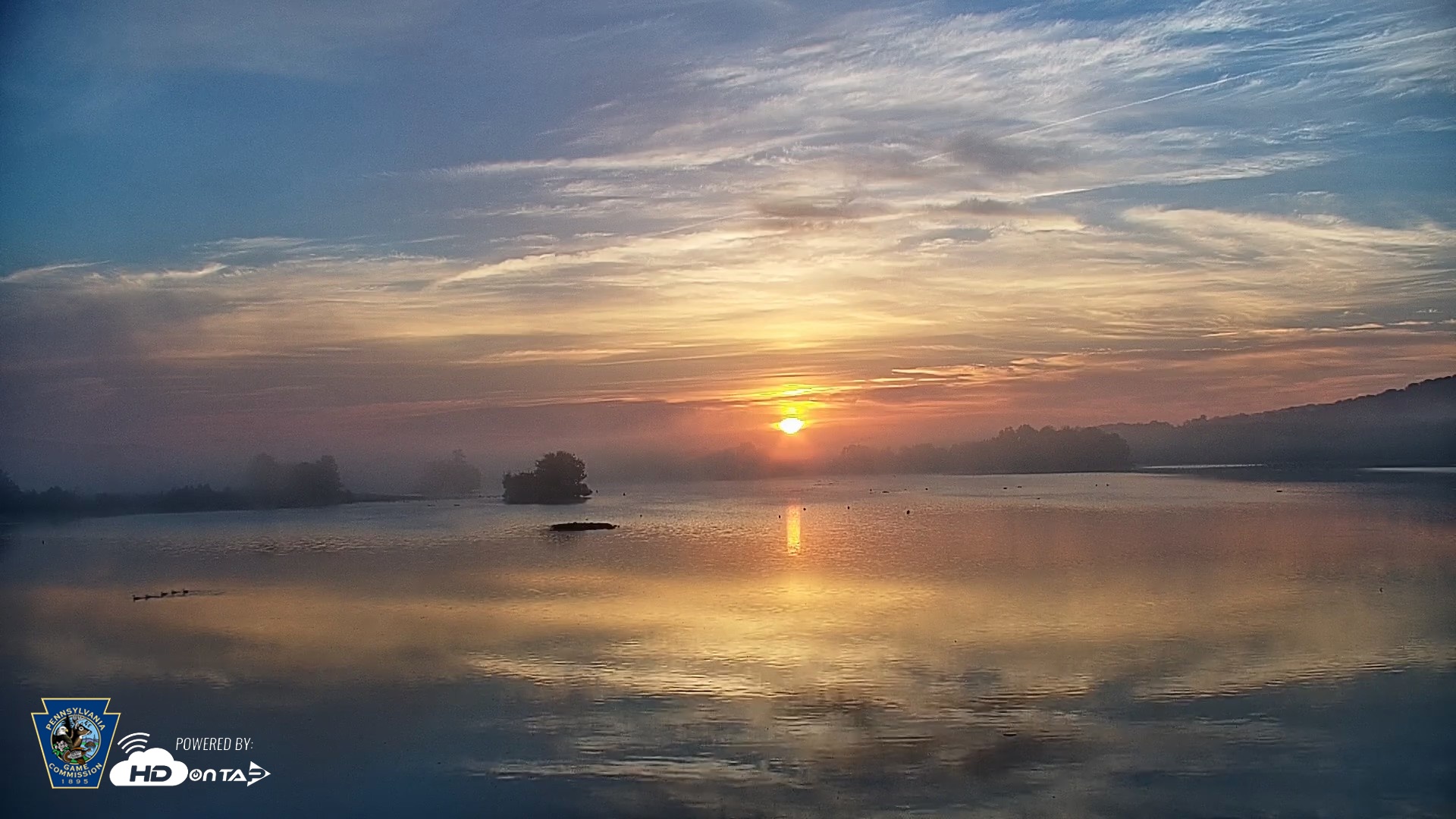 Snapshot of Pennsylvania Snow Geese Live Webcam taken Oct 2, 2026, 7:13am EDT