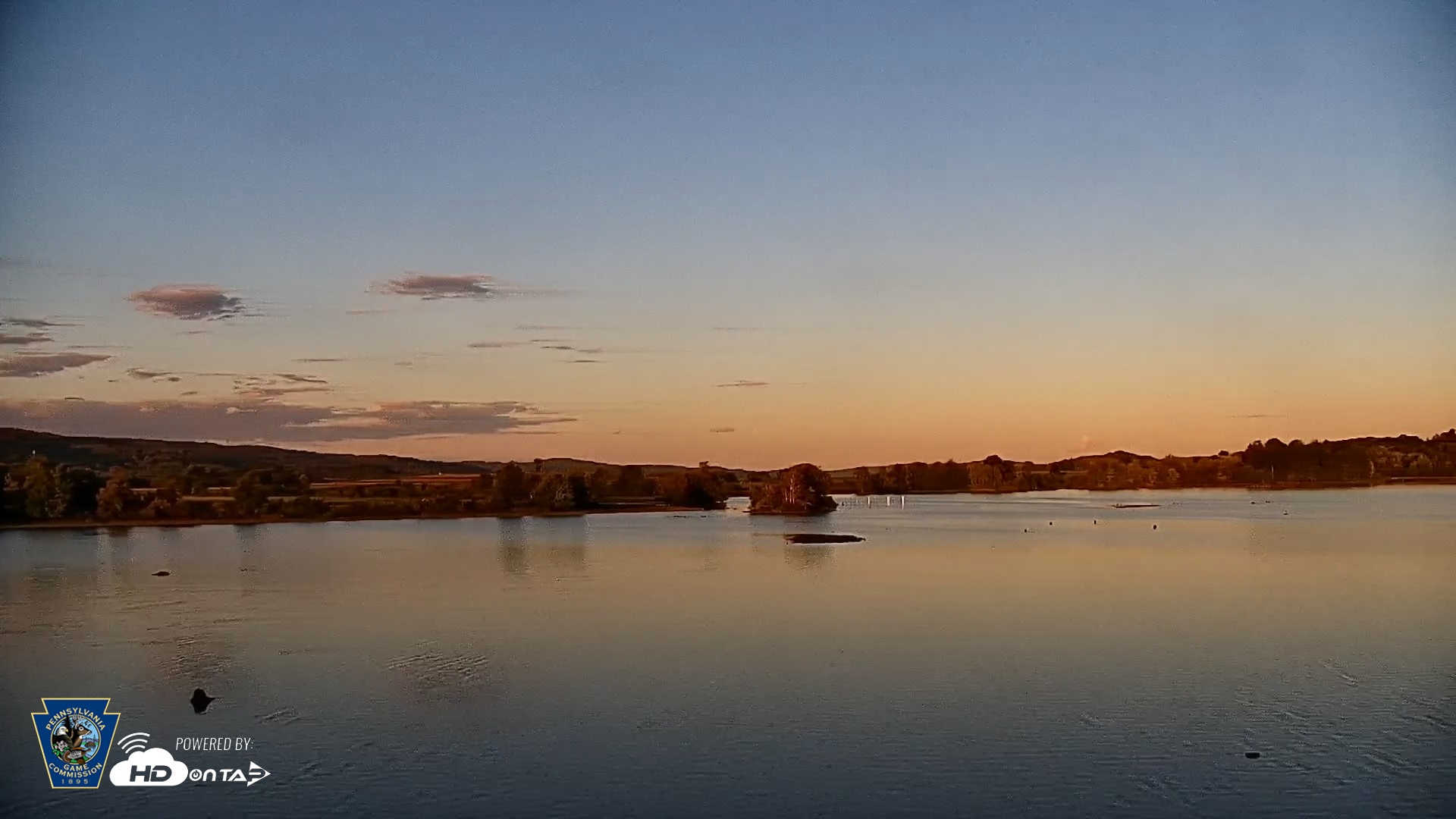 Snapshot of Pennsylvania Snow Geese Live Webcam taken Aug 25, 2026, 7:25pm EDT