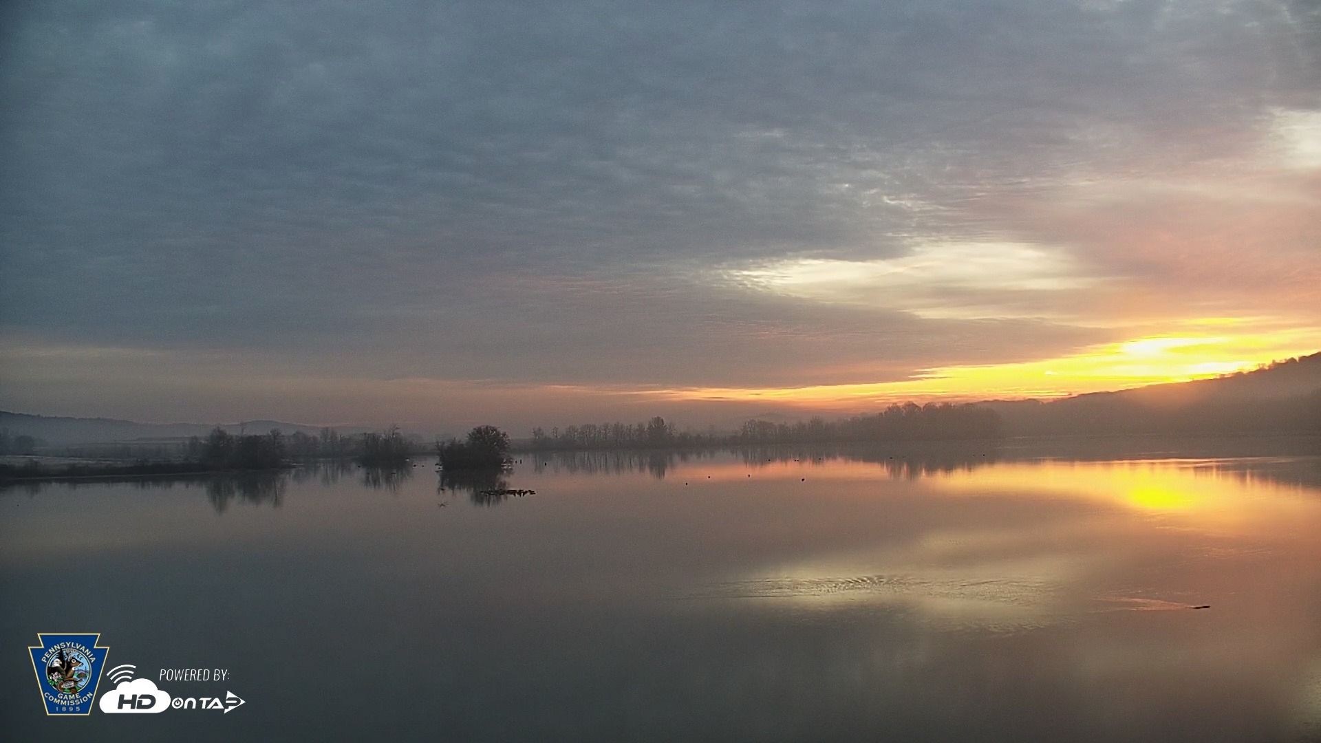 Snapshot of Pennsylvania Snow Geese Live Webcam taken Nov 20, 2025, 6:55am EST
