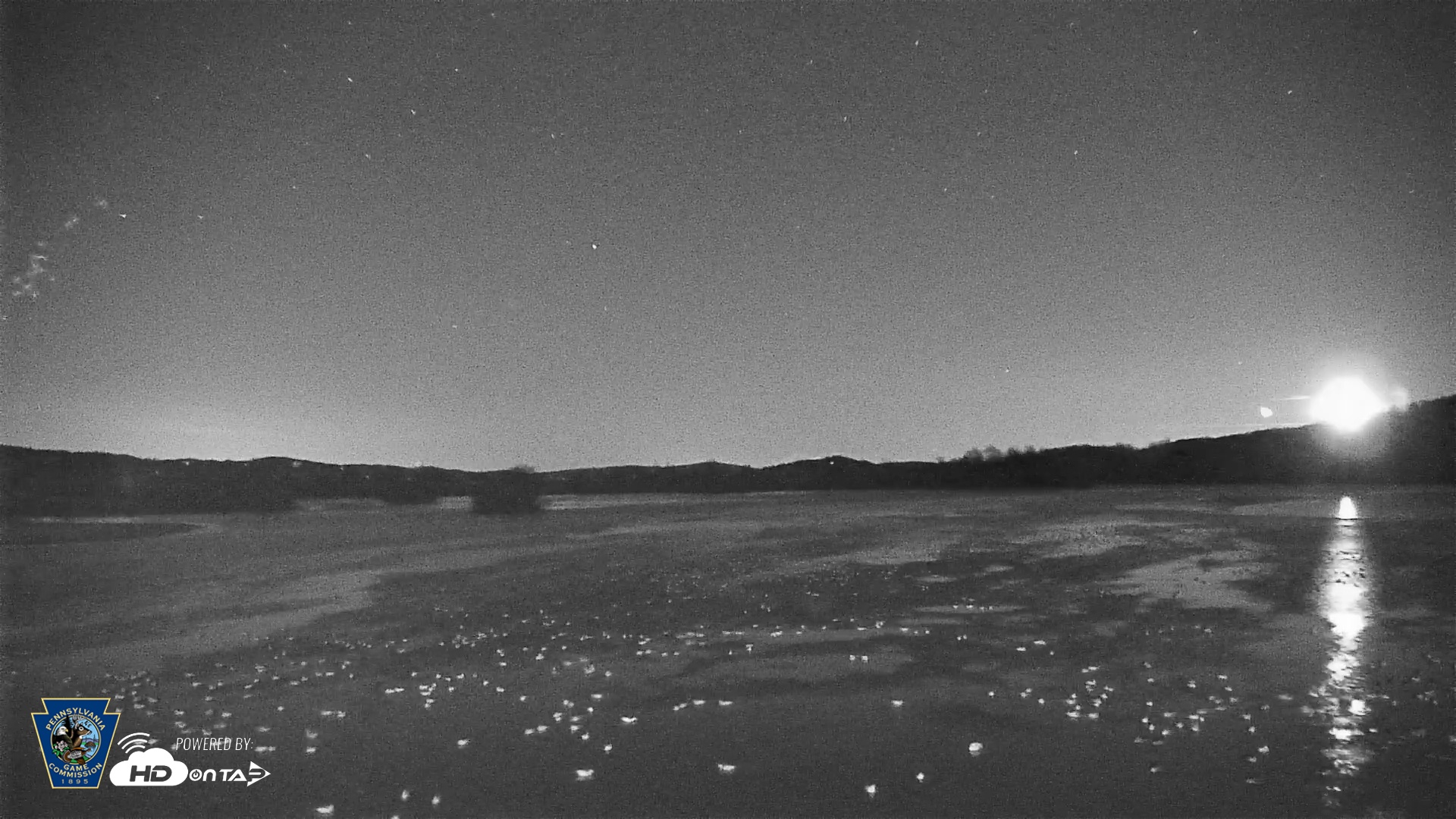 Snapshot of Pennsylvania Snow Geese Live Webcam taken Feb 19, 2025, 12:19am EST