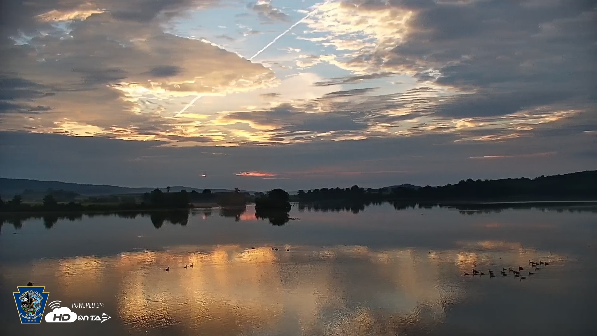 Snapshot of Pennsylvania Snow Geese Live Webcam taken Aug 31, 2026, 6:45am EDT