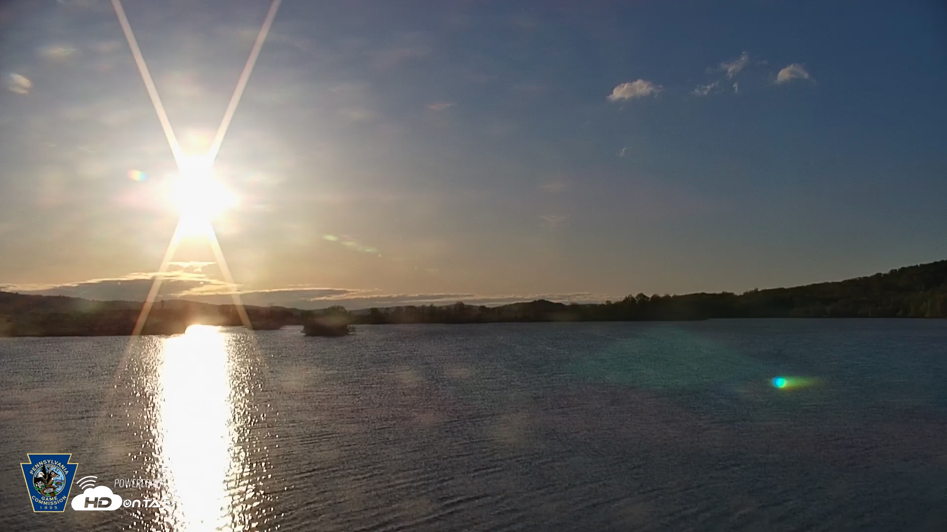 Snapshot of Pennsylvania Snow Geese Live Webcam taken Apr 27, 2025, 6:53am EDT