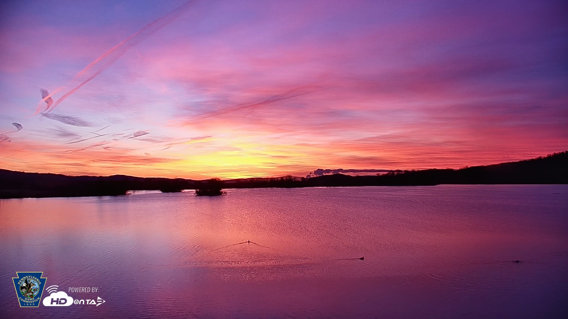 Snapshot of Pennsylvania Snow Geese Live Webcam taken Mar 18, 2026, 7:01am EDT