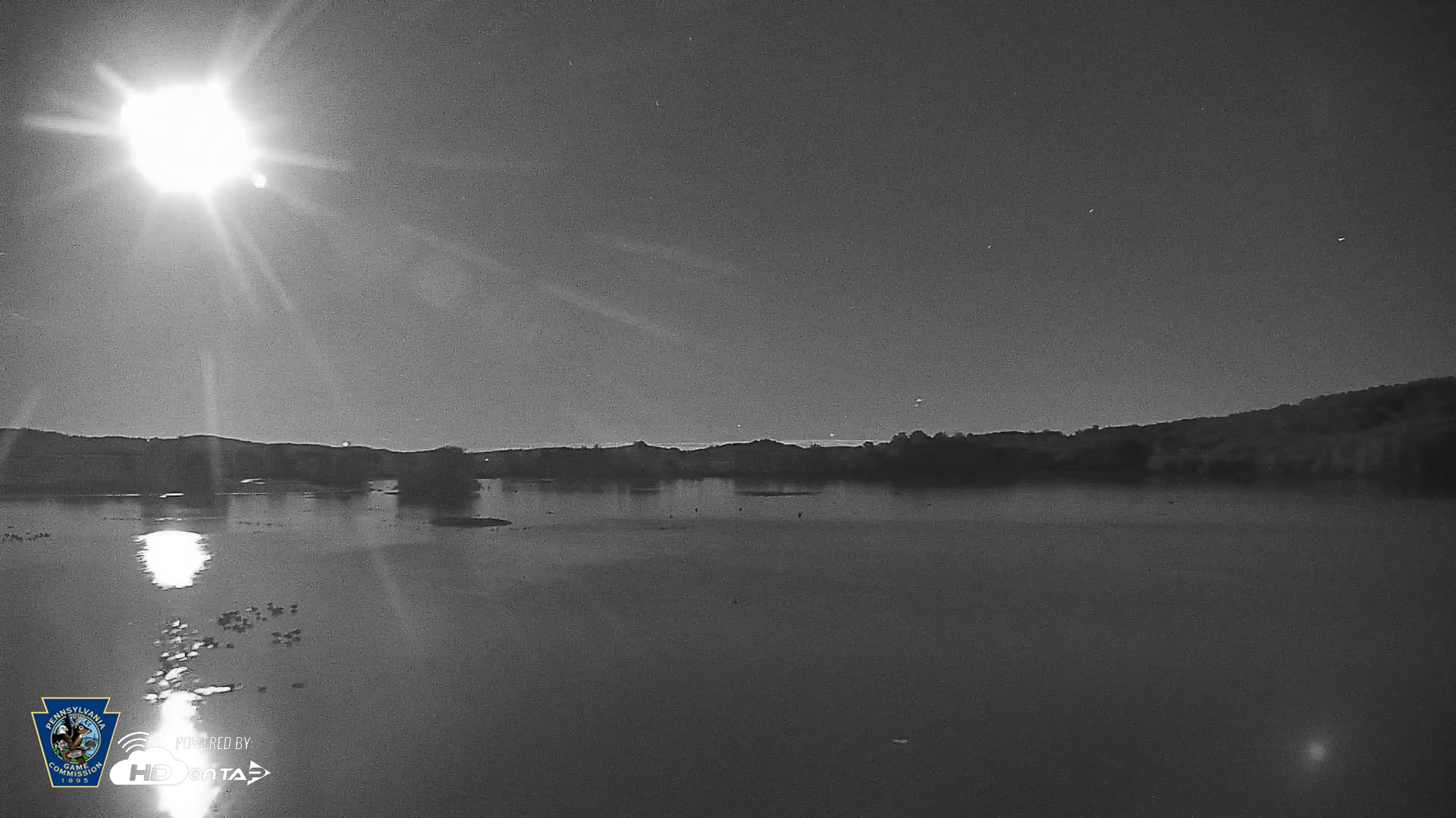 Snapshot of Pennsylvania Snow Geese Live Webcam taken Oct 8, 2025, 8:32pm EDT