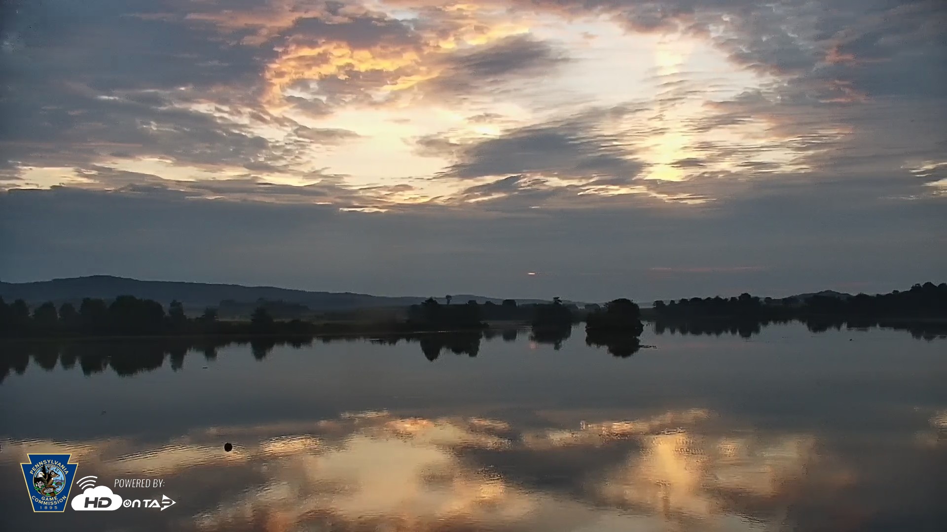 Snapshot of Pennsylvania Snow Geese Live Webcam taken Aug 31, 2026, 6:35am EDT