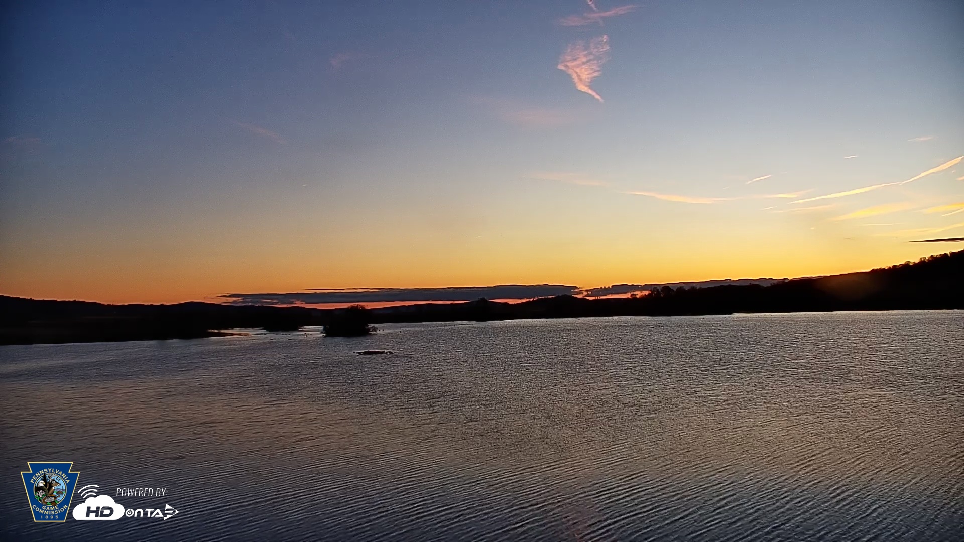 Snapshot of Pennsylvania Snow Geese Live Webcam taken Nov 14, 2025, 6:43am EST