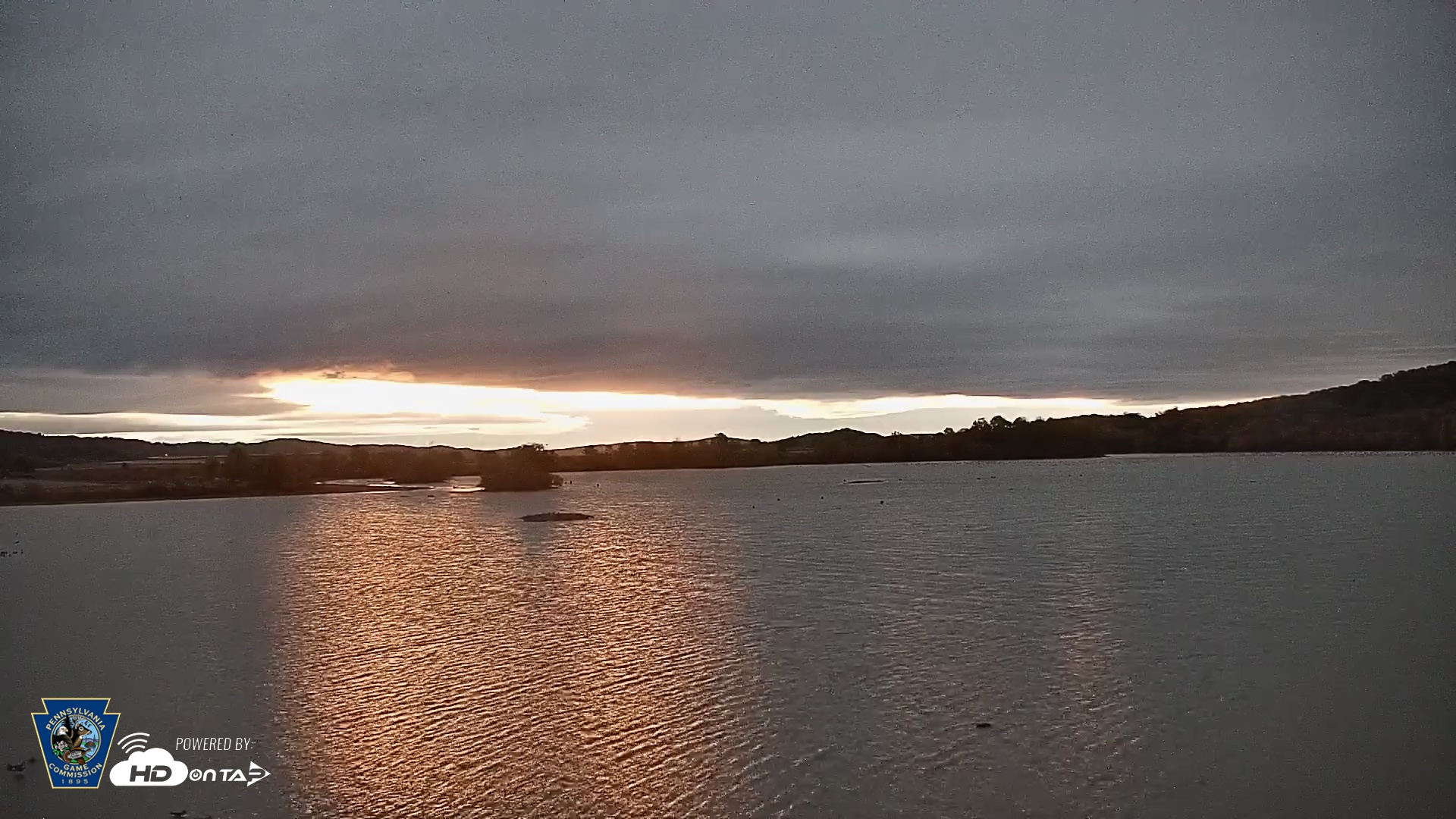 Snapshot of Pennsylvania Snow Geese Live Webcam taken Oct 20, 2025, 7:00am EDT