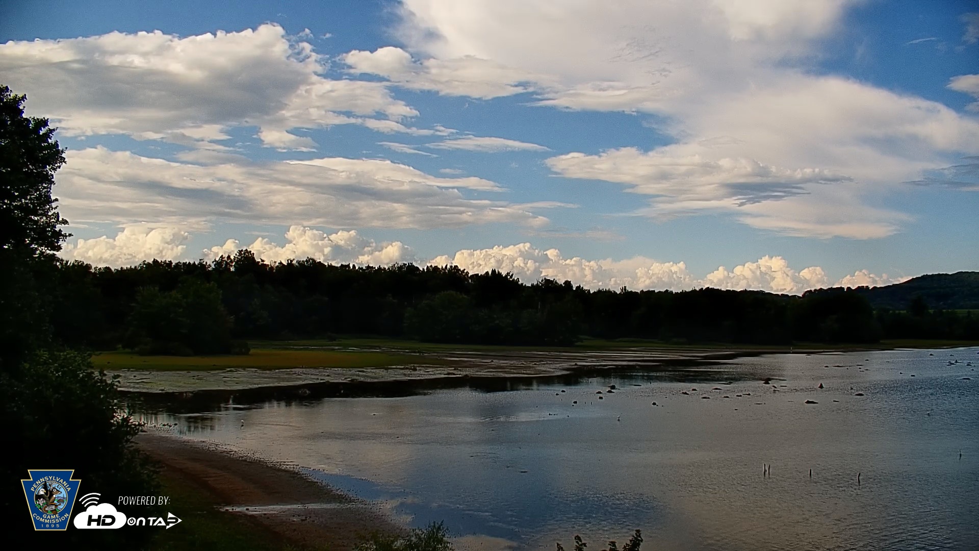 Snapshot of Pennsylvania Snow Geese Live Webcam taken Aug 23, 2026, 5:01pm EDT
