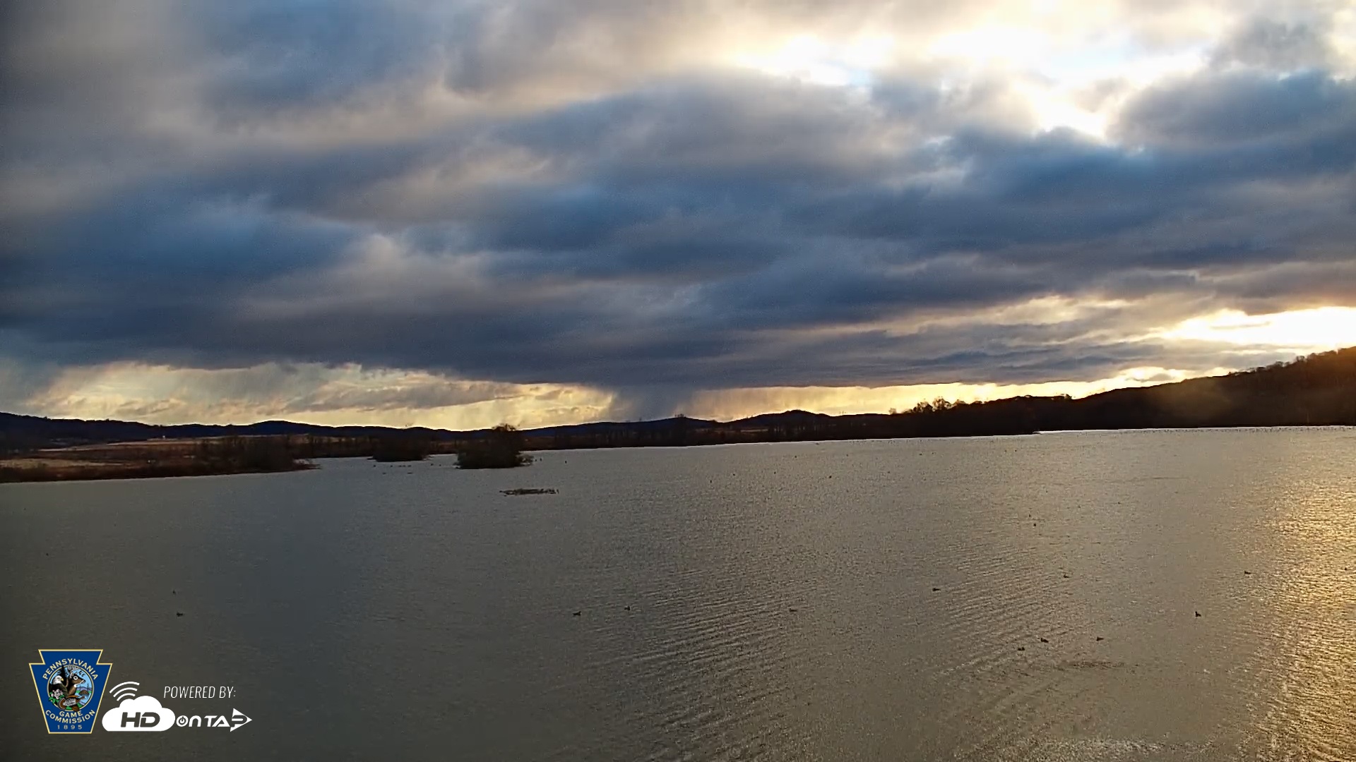 Snapshot of Pennsylvania Snow Geese Live Webcam taken Nov 17, 2025, 7:43am EST