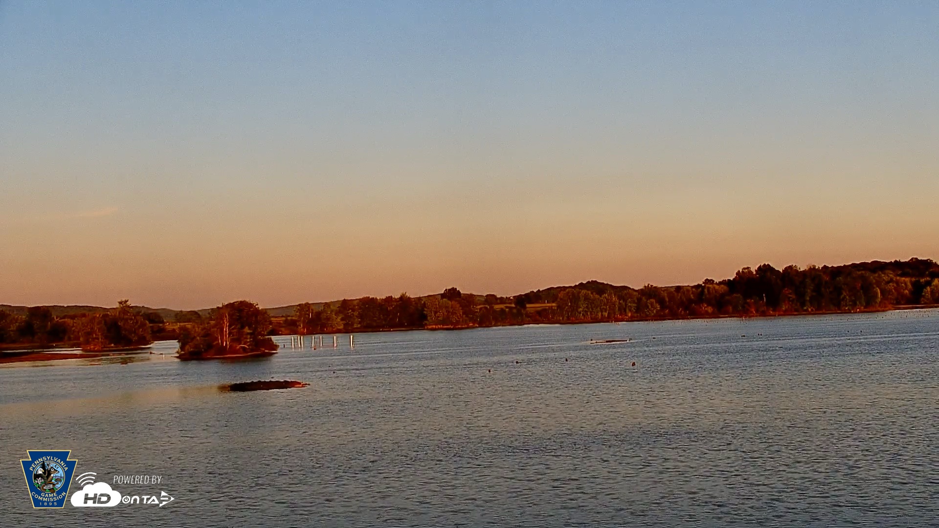 Snapshot of Pennsylvania Snow Geese Live Webcam taken Sep 15, 2026, 6:52pm EDT