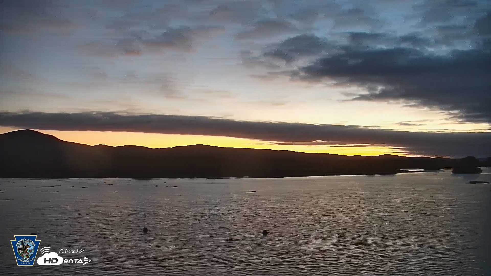 Snapshot of Pennsylvania Snow Geese Live Webcam taken Sep 24, 2026, 6:28am EDT