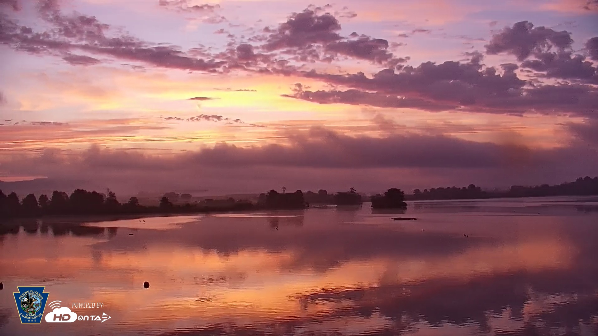 Snapshot of Pennsylvania Snow Geese Live Webcam taken Aug 13, 2025, 6:12am EDT