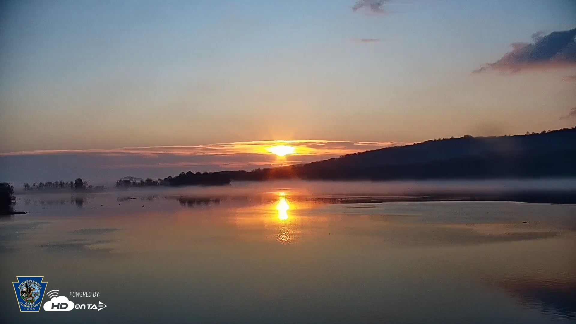 Snapshot of Pennsylvania Snow Geese Live Webcam taken Nov 8, 2025, 7:04am EST