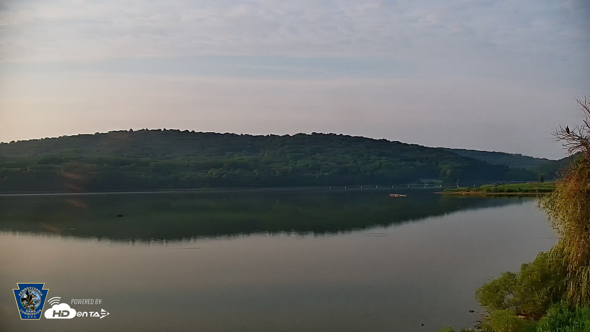 Snapshot of Pennsylvania Snow Geese Live Webcam taken Aug 12, 2026, 7:24am EDT