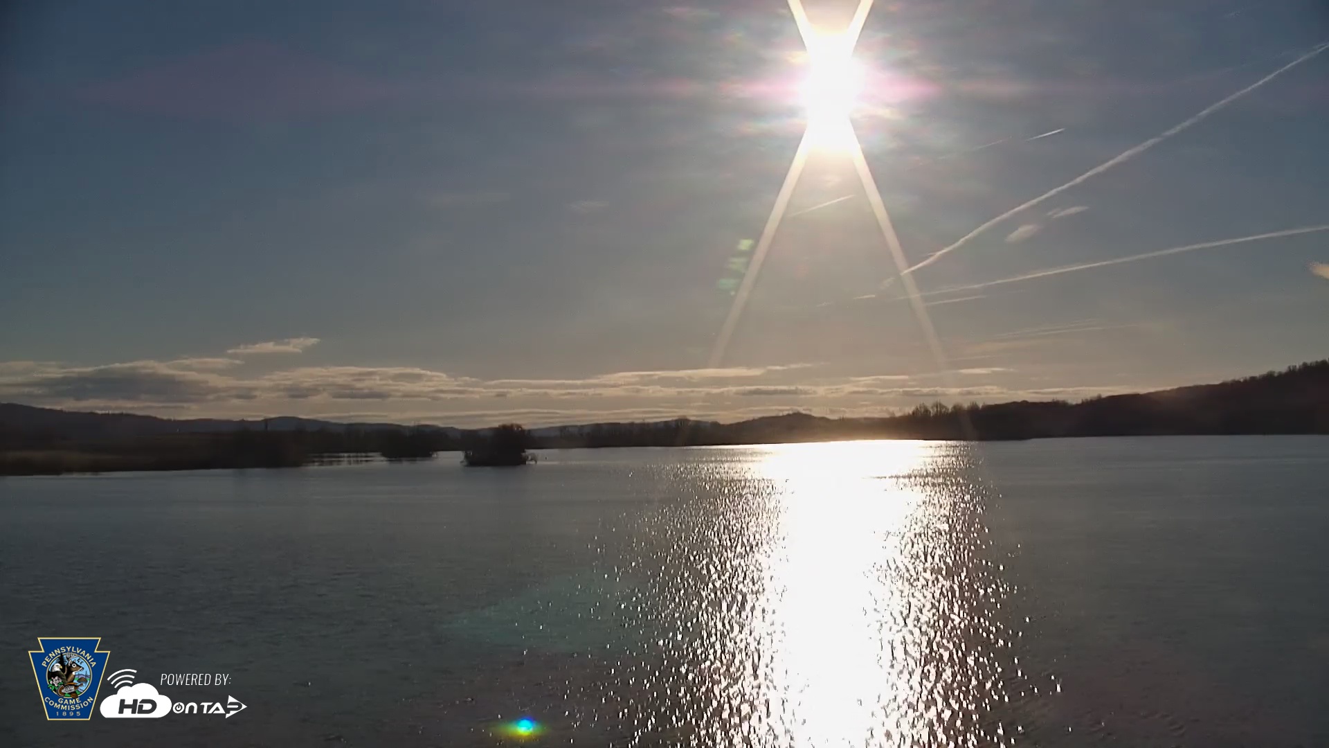 Snapshot of Pennsylvania Snow Geese Live Webcam taken Mar 24, 2026, 8:25am EDT