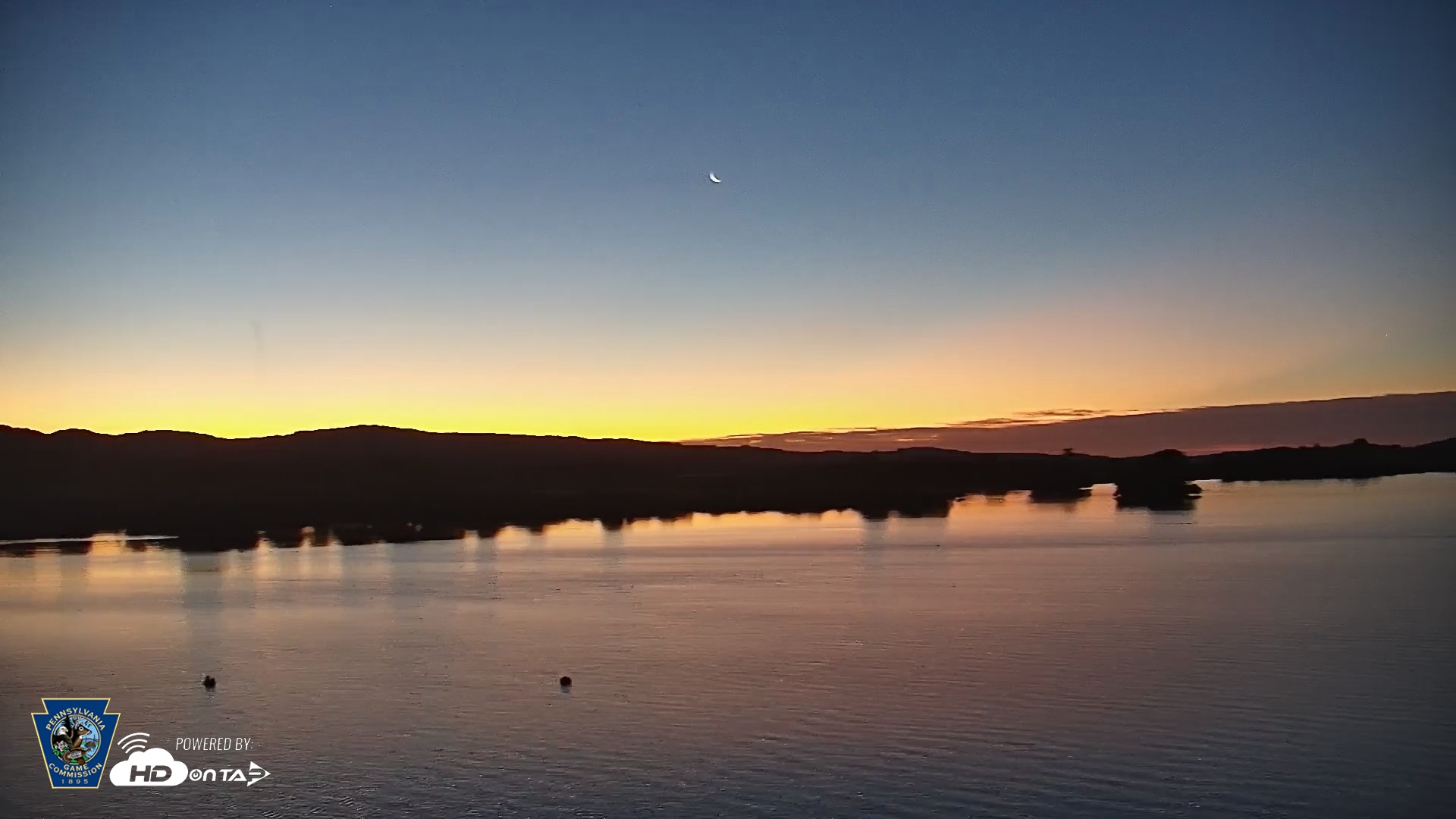 Snapshot of Pennsylvania Snow Geese Live Webcam taken Jun 13, 2026, 5:00am EDT
