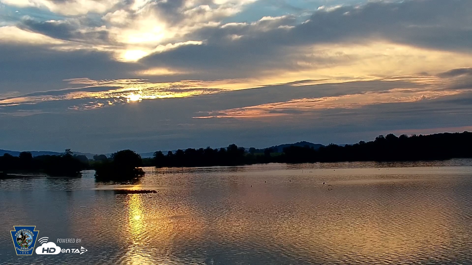 Snapshot of Pennsylvania Snow Geese Live Webcam taken Sep 10, 2026, 7:07am EDT