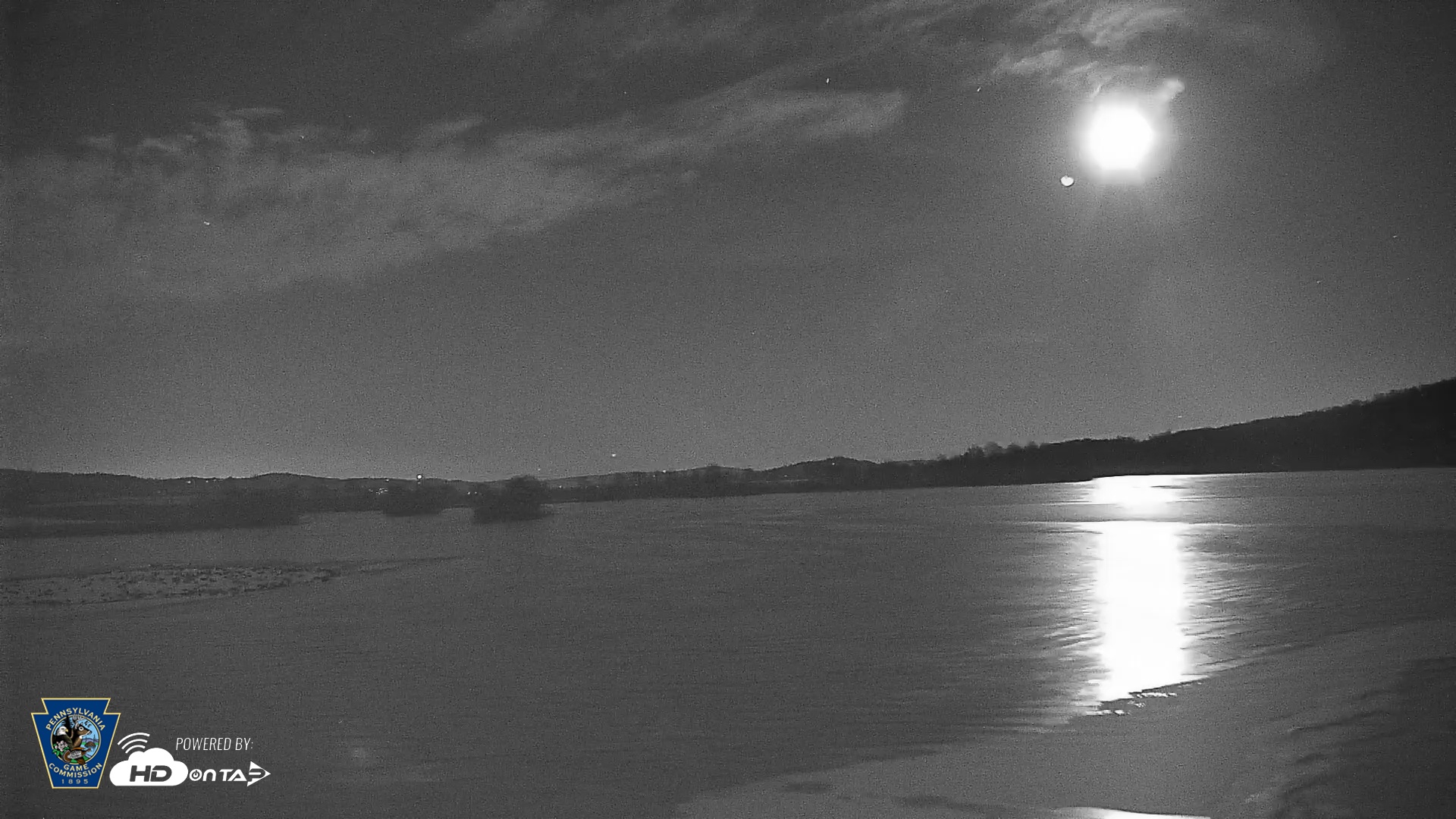 Snapshot of Pennsylvania Snow Geese Live Webcam taken Feb 5, 2026, 11:09pm EST