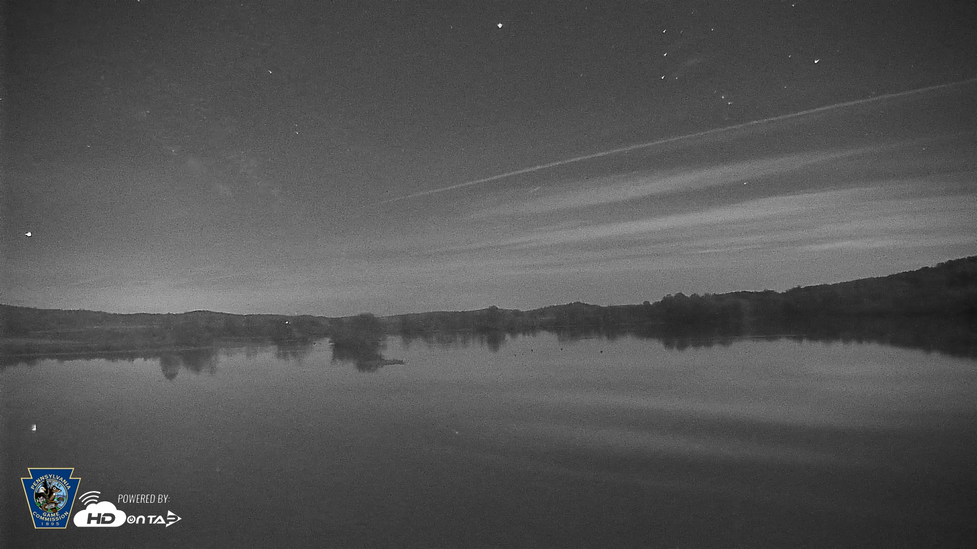 Snapshot of Pennsylvania Snow Geese Live Webcam taken Nov 2, 2025, 10:17pm EST