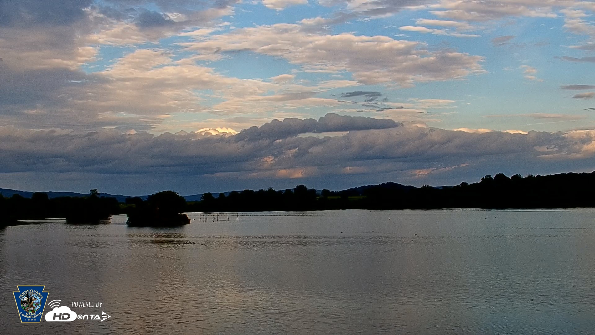 Snapshot of Pennsylvania Snow Geese Live Webcam taken Sep 4, 2026, 6:27pm EDT