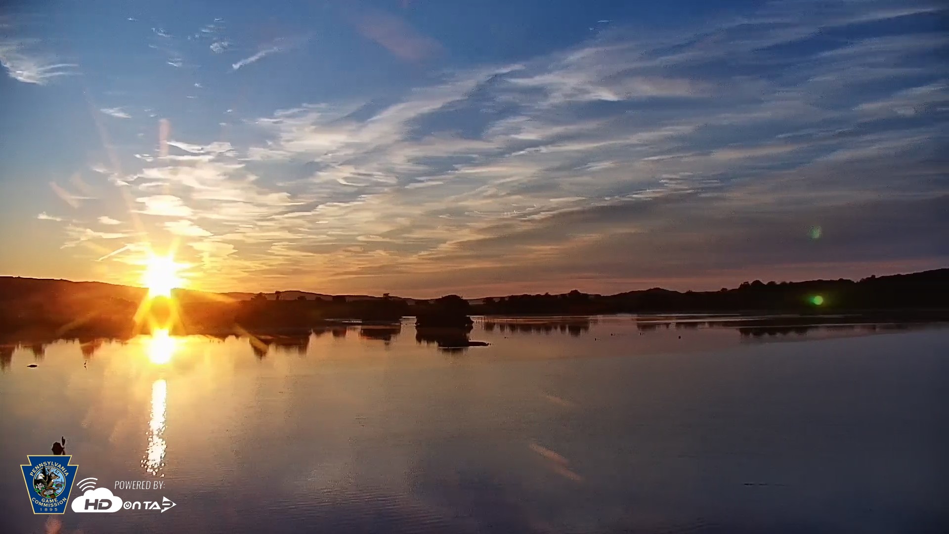 Snapshot of Pennsylvania Snow Geese Live Webcam taken Aug 4, 2026, 6:19am EDT
