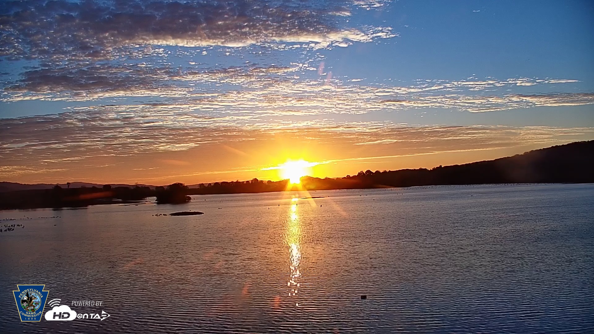 Snapshot of Pennsylvania Snow Geese Live Webcam taken Oct 7, 2025, 7:15am EDT