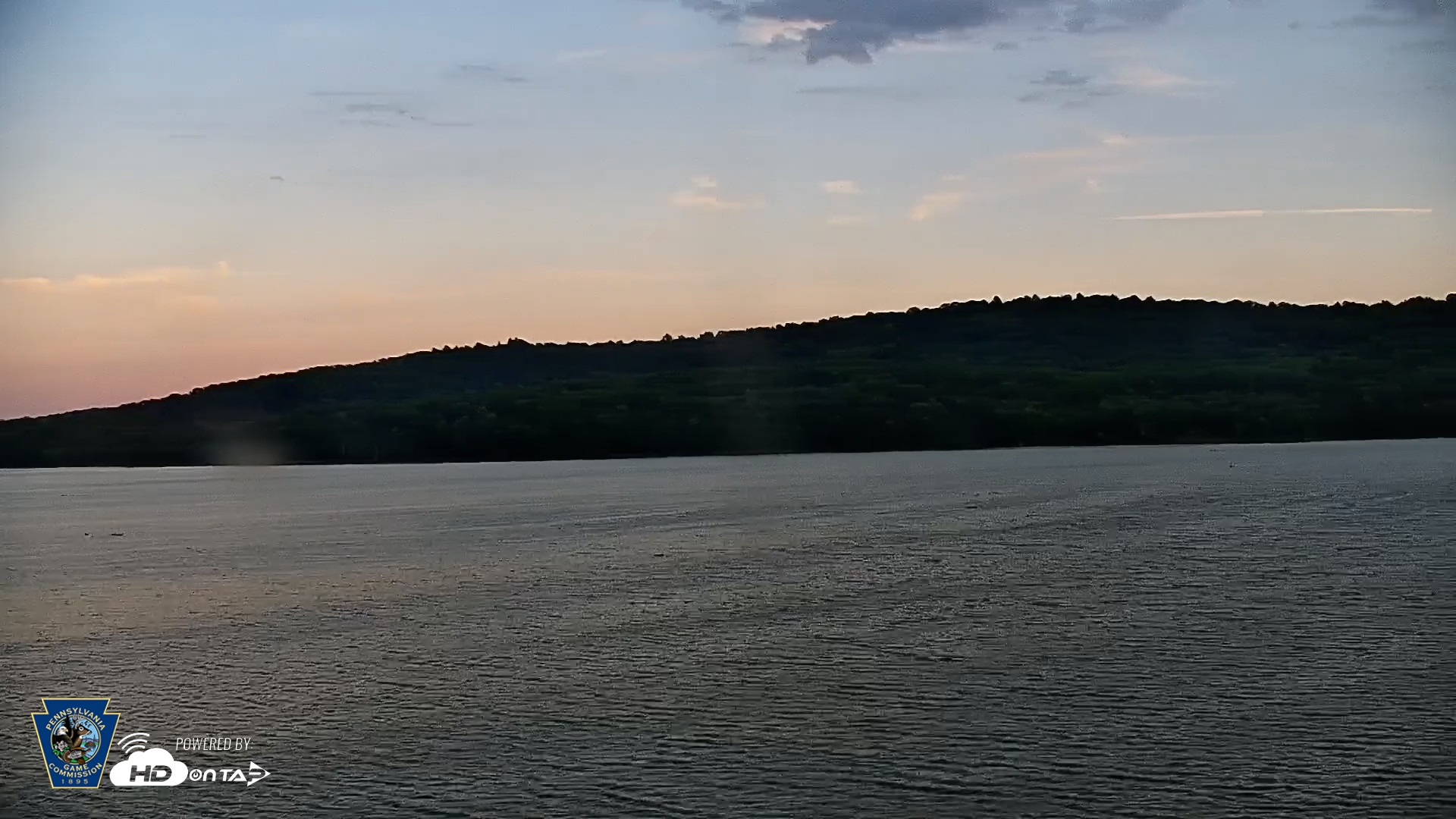 Snapshot of Pennsylvania Snow Geese Live Webcam taken Sep 9, 2026, 7:15pm EDT
