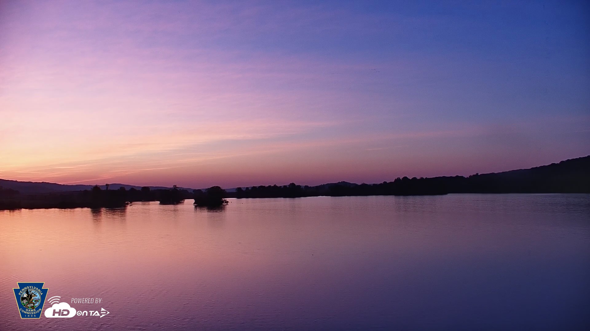 Snapshot of Pennsylvania Snow Geese Live Webcam taken May 17, 2026, 5:34am EDT