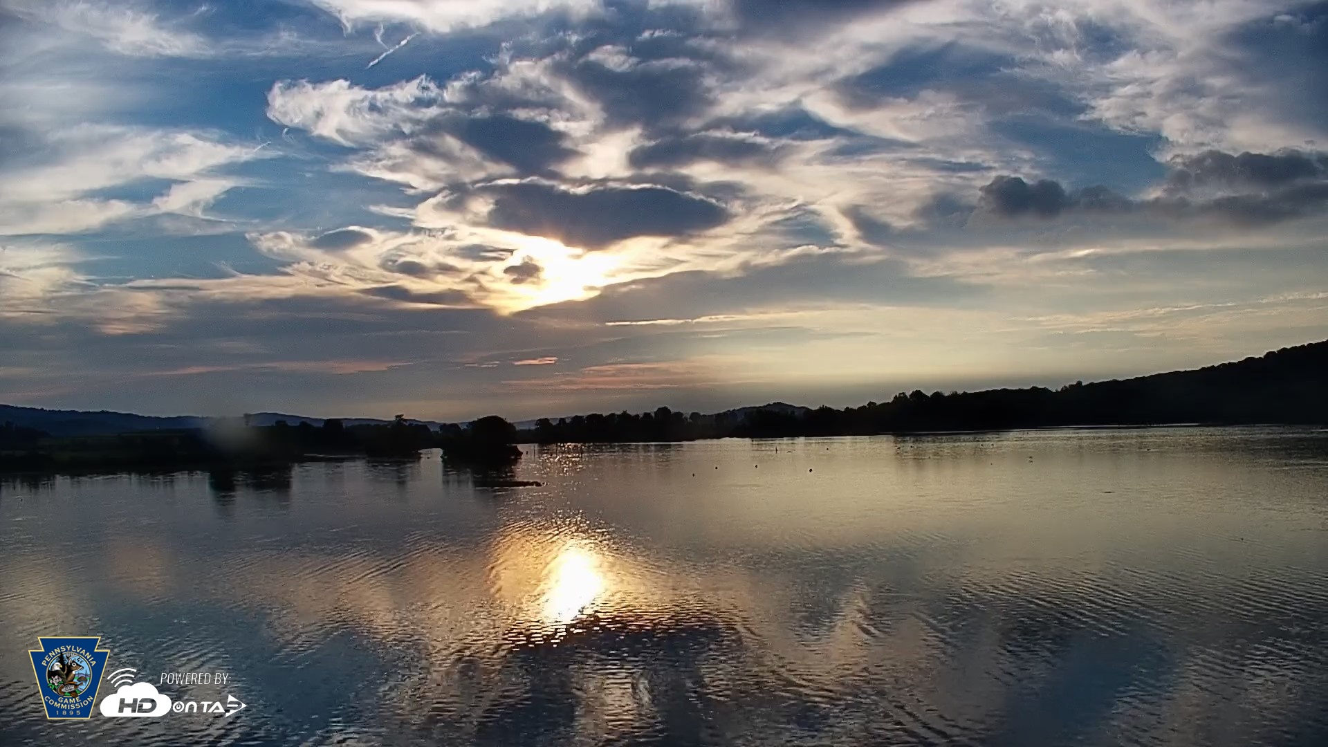 Snapshot of Pennsylvania Snow Geese Live Webcam taken Sep 10, 2026, 7:24am EDT