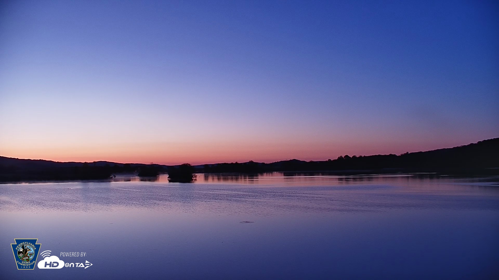 Snapshot of Pennsylvania Snow Geese Live Webcam taken May 1, 2026, 5:47am EDT