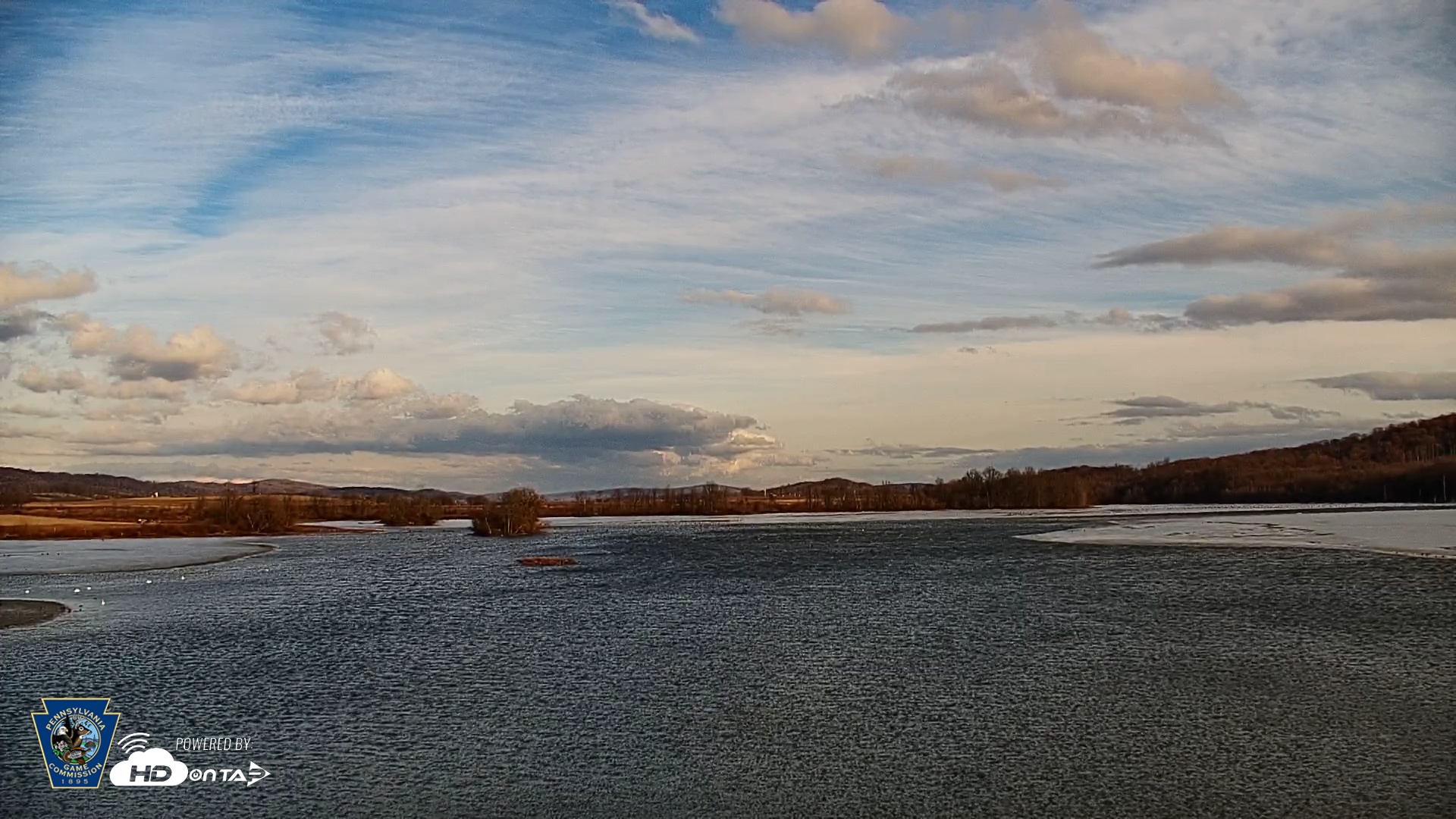 Snapshot of Pennsylvania Snow Geese Live Webcam taken Feb 13, 2025, 4:22pm EST
