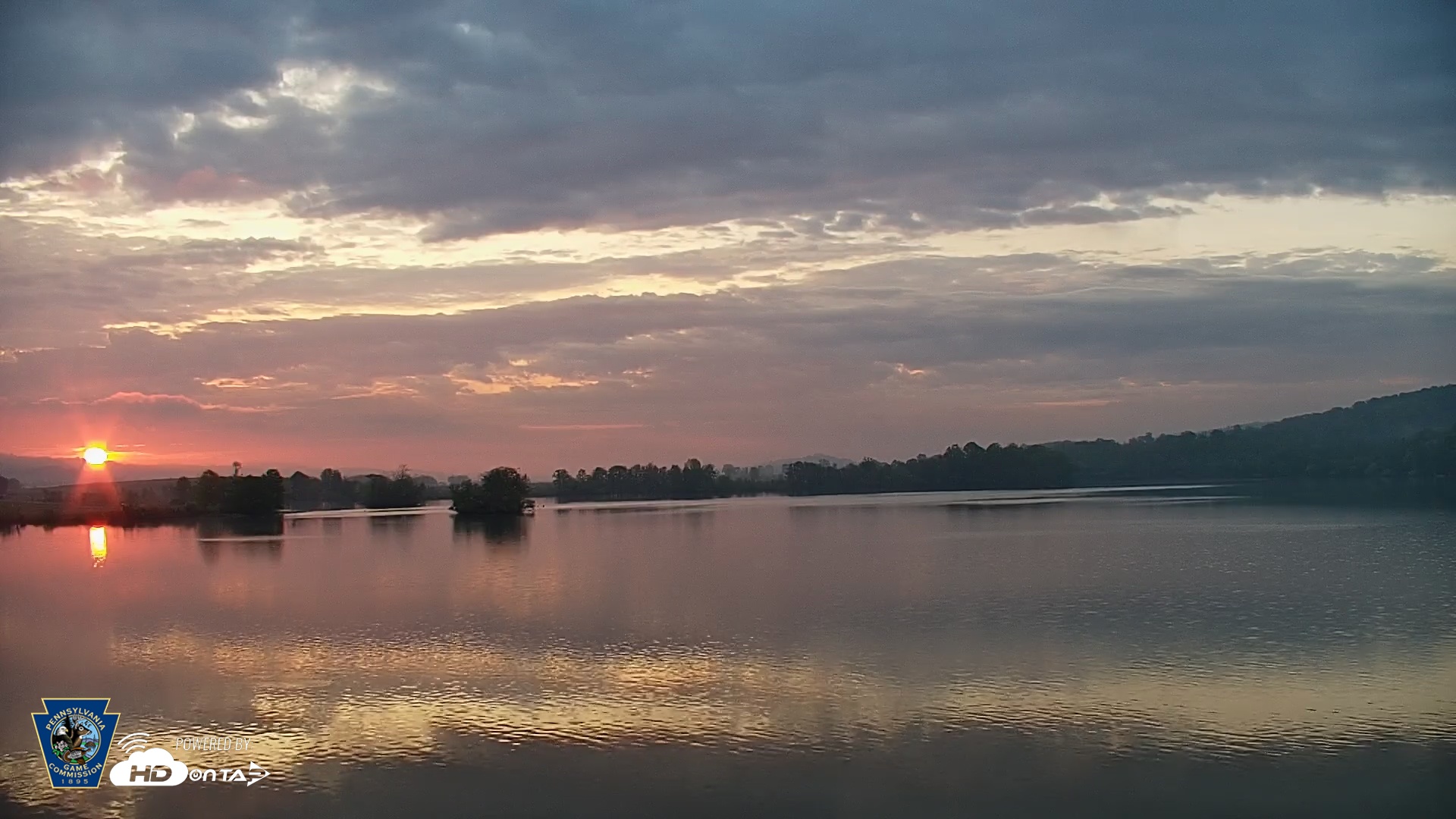 Snapshot of Pennsylvania Snow Geese Live Webcam taken May 2, 2025, 6:13am EDT
