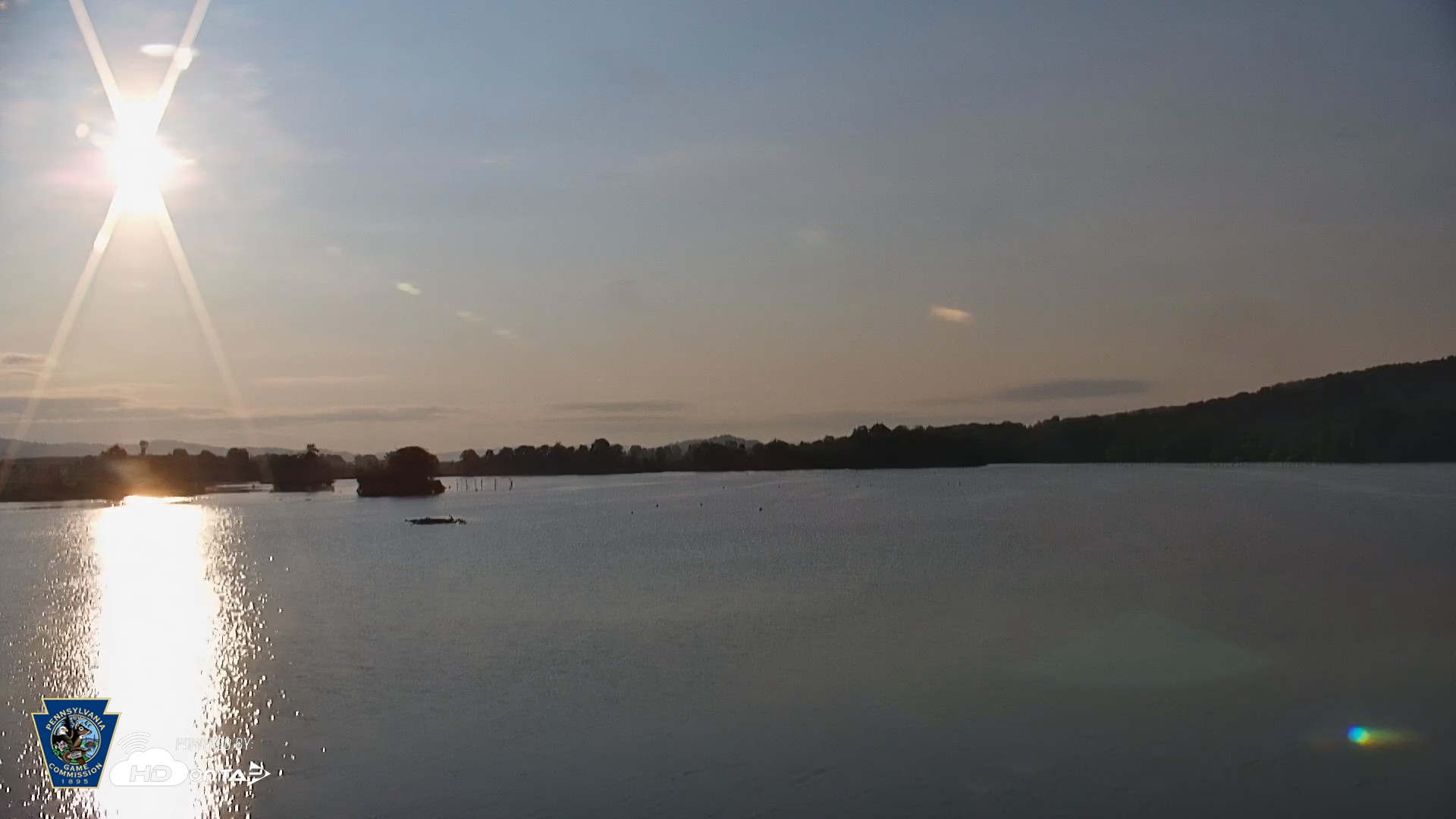 Snapshot of Pennsylvania Snow Geese Live Webcam taken Jul 29, 2026, 7:11am EDT