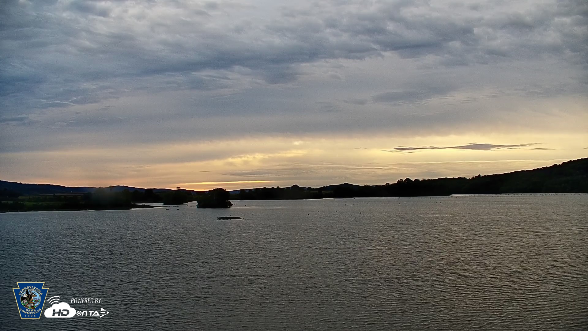 Snapshot of Pennsylvania Snow Geese Live Webcam taken Sep 23, 2026, 7:23am EDT