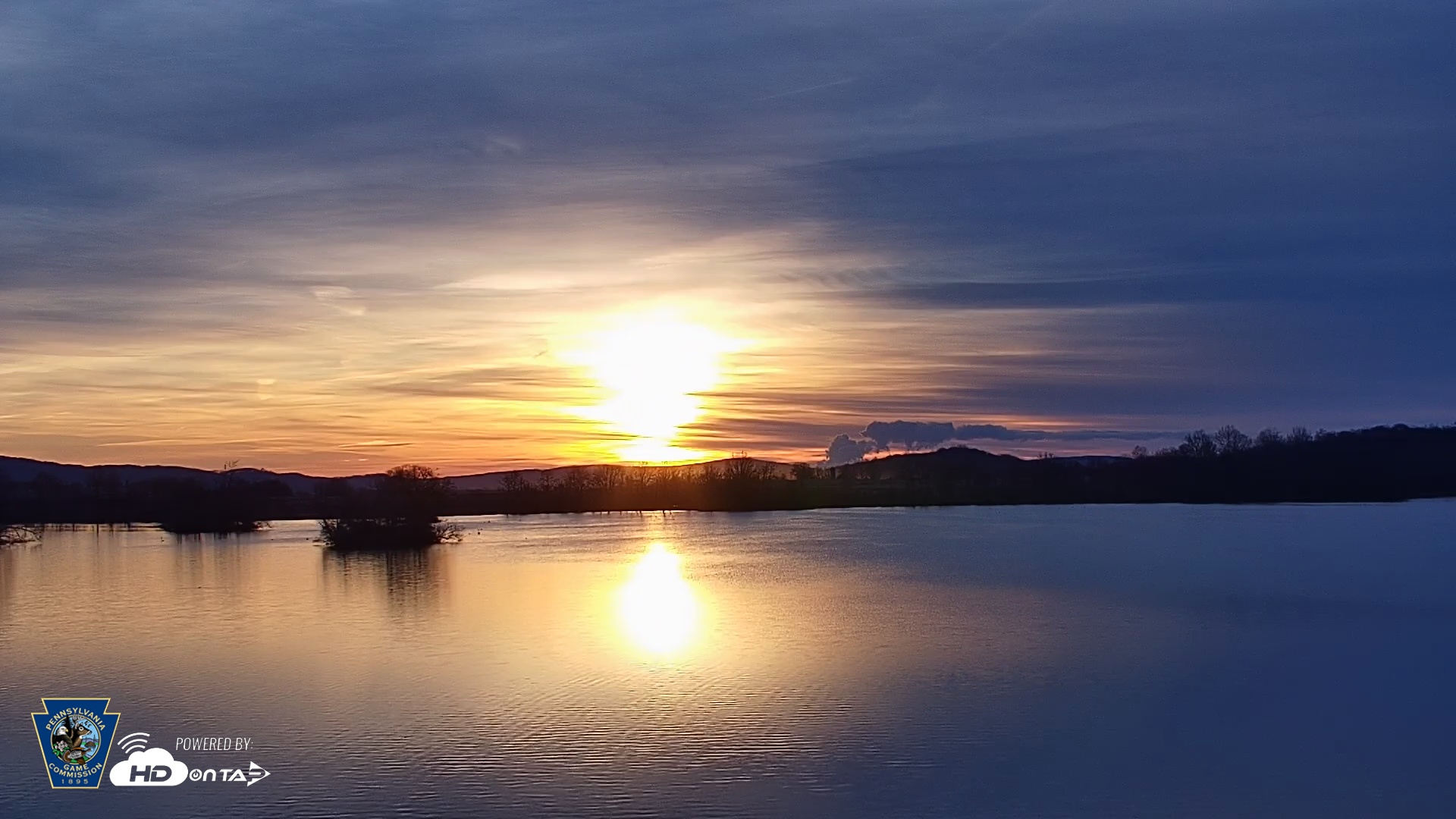Snapshot of Pennsylvania Snow Geese Live Webcam taken Mar 18, 2026, 7:23am EDT