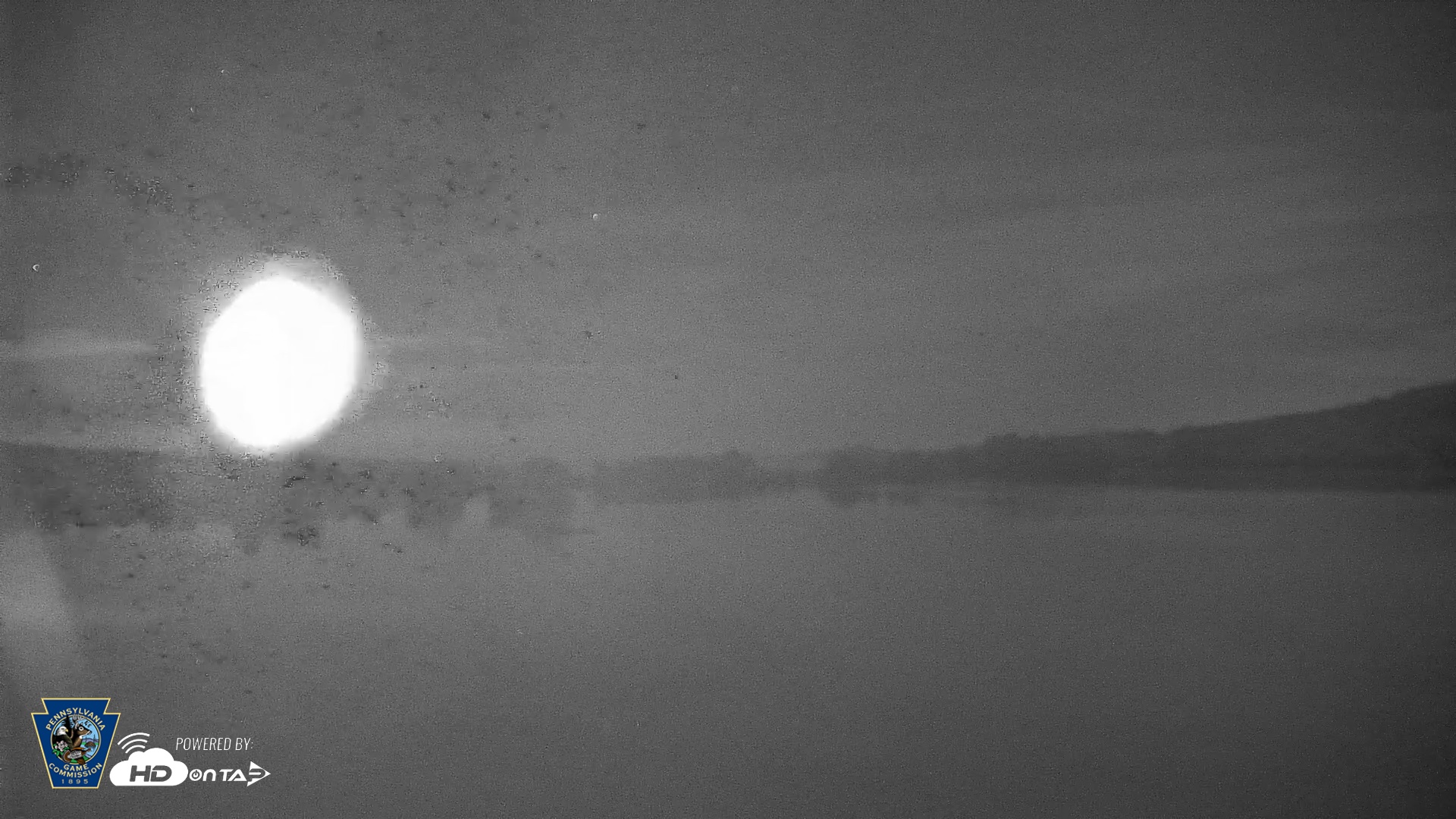 Snapshot of Pennsylvania Snow Geese Live Webcam taken Sep 2, 2026, 2:44am EDT
