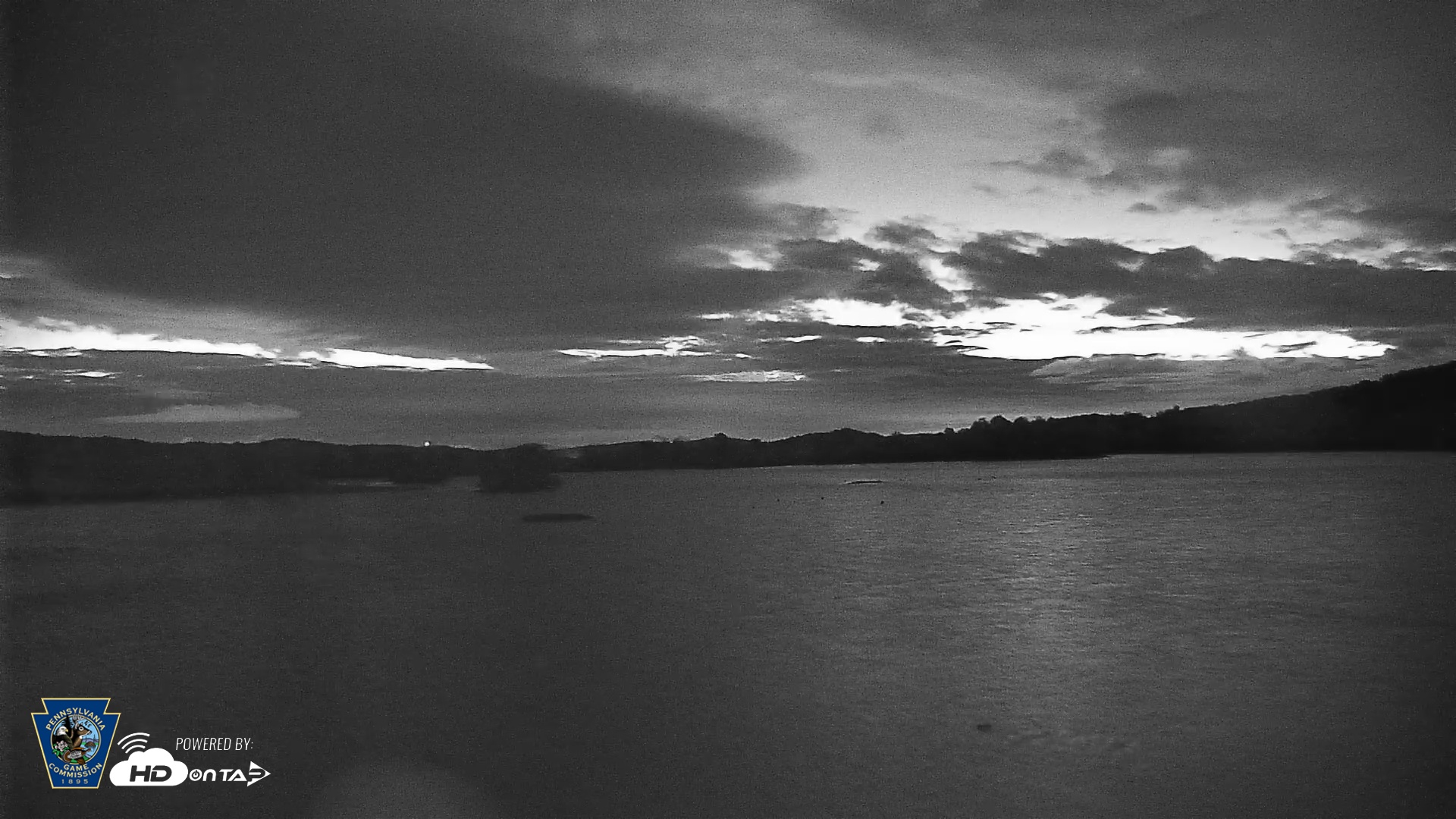 Snapshot of Pennsylvania Snow Geese Live Webcam taken Oct 20, 2025, 6:28am EDT