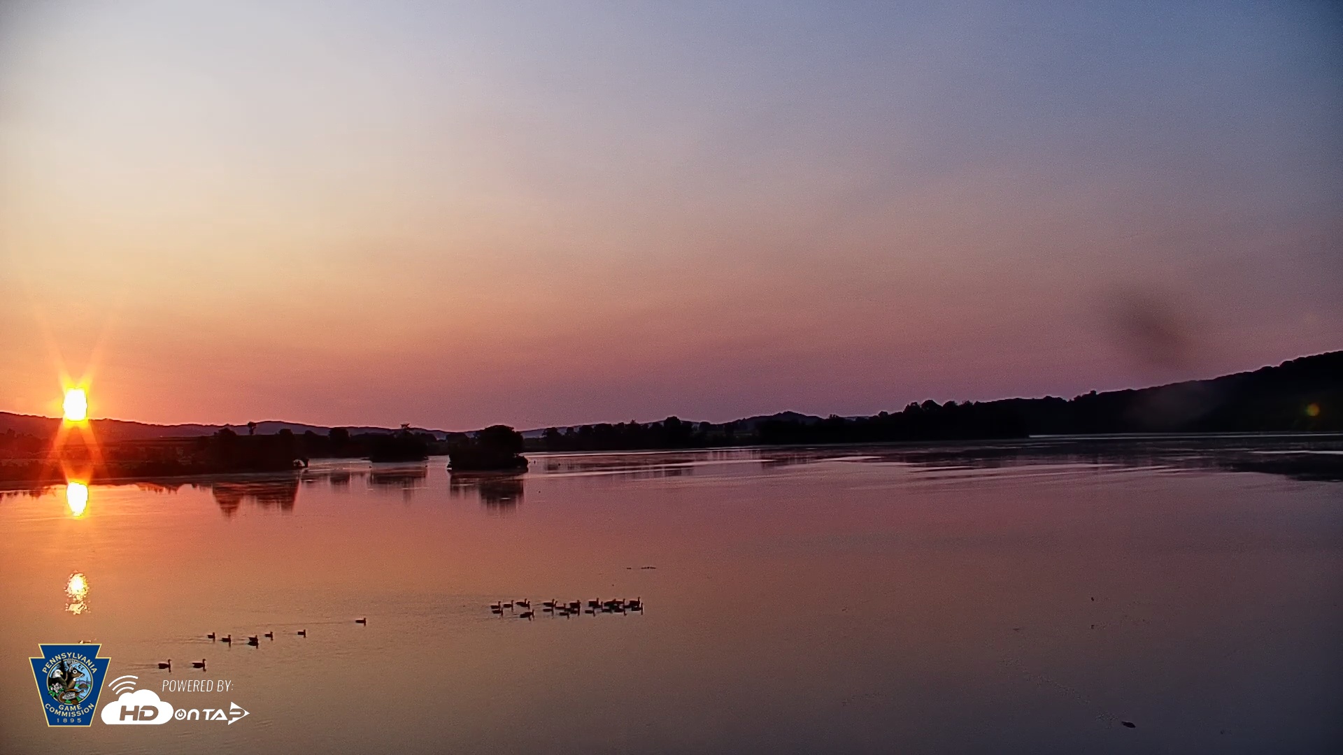 Snapshot of Pennsylvania Snow Geese Live Webcam taken Aug 3, 2025, 6:18am EDT
