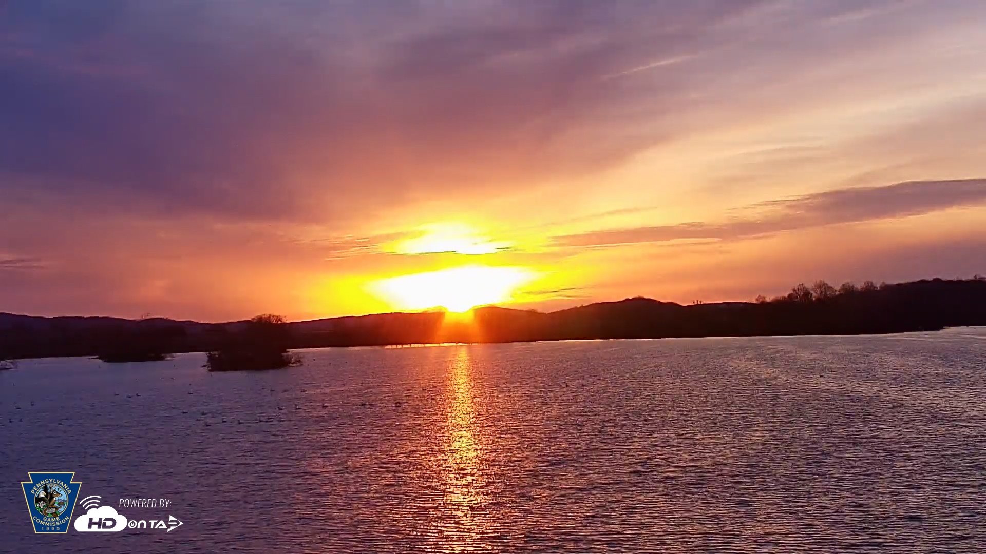 Snapshot of Pennsylvania Snow Geese Live Webcam taken Mar 15, 2026, 7:23am EDT