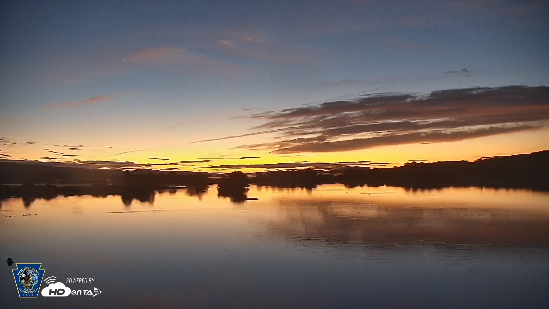 Snapshot of Pennsylvania Snow Geese Live Webcam taken Sep 29, 2026, 6:27am EDT